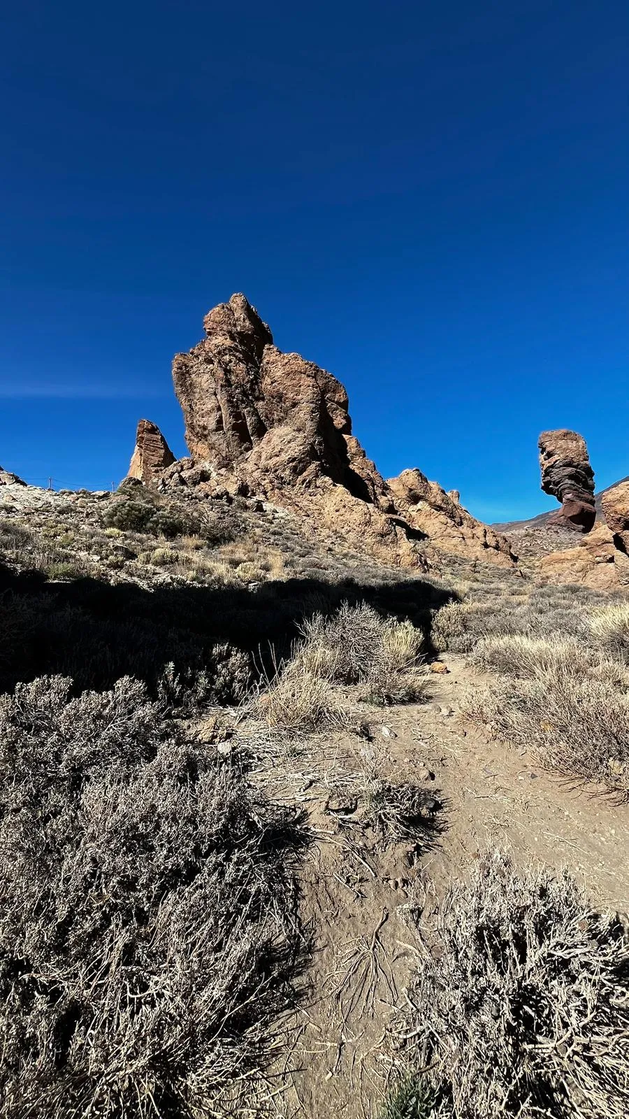 WhatsApp Image 2026-02-01 at 21.51.46 (1)