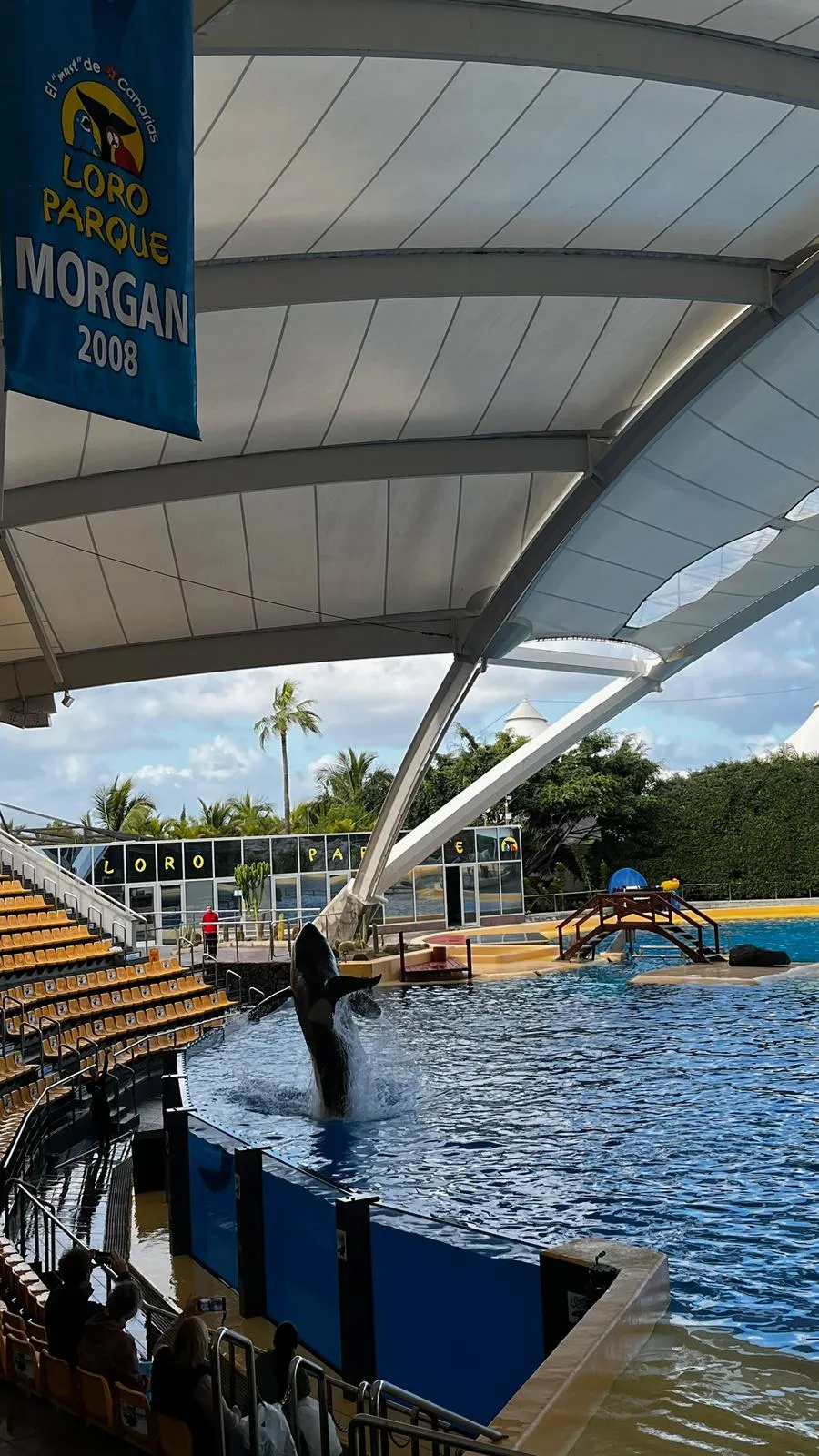 WhatsApp Image 2026-02-01 at 21.51.46 (2)