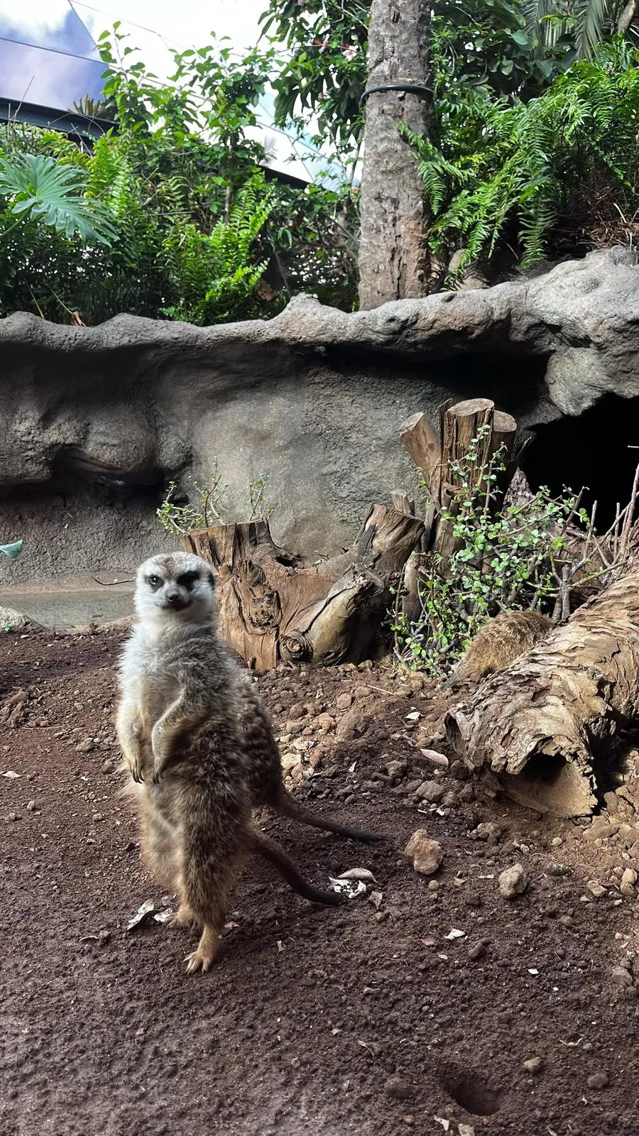 WhatsApp Image 2026-02-01 at 21.51.46 (3)