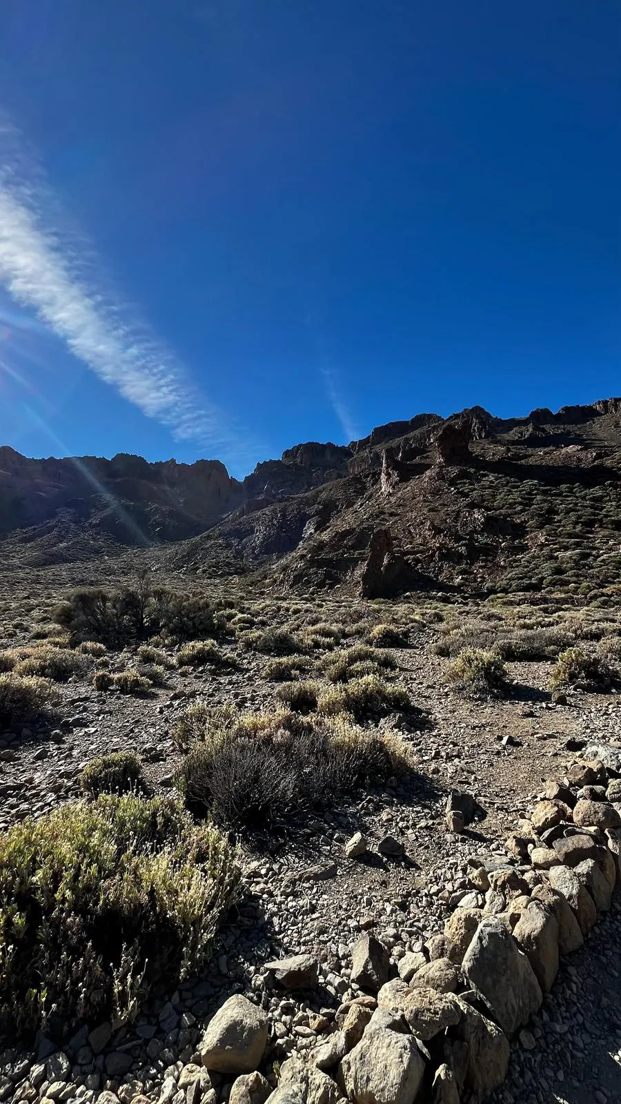 WhatsApp Image 2026-02-01 at 21.51.46