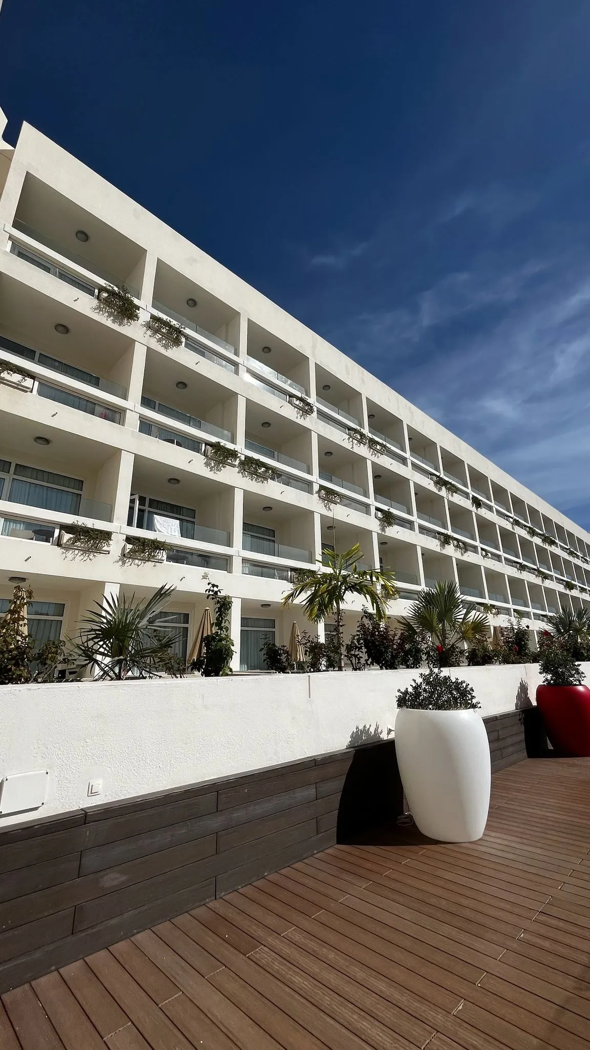 WhatsApp Image 2026-02-01 at 23.05.32 (1)