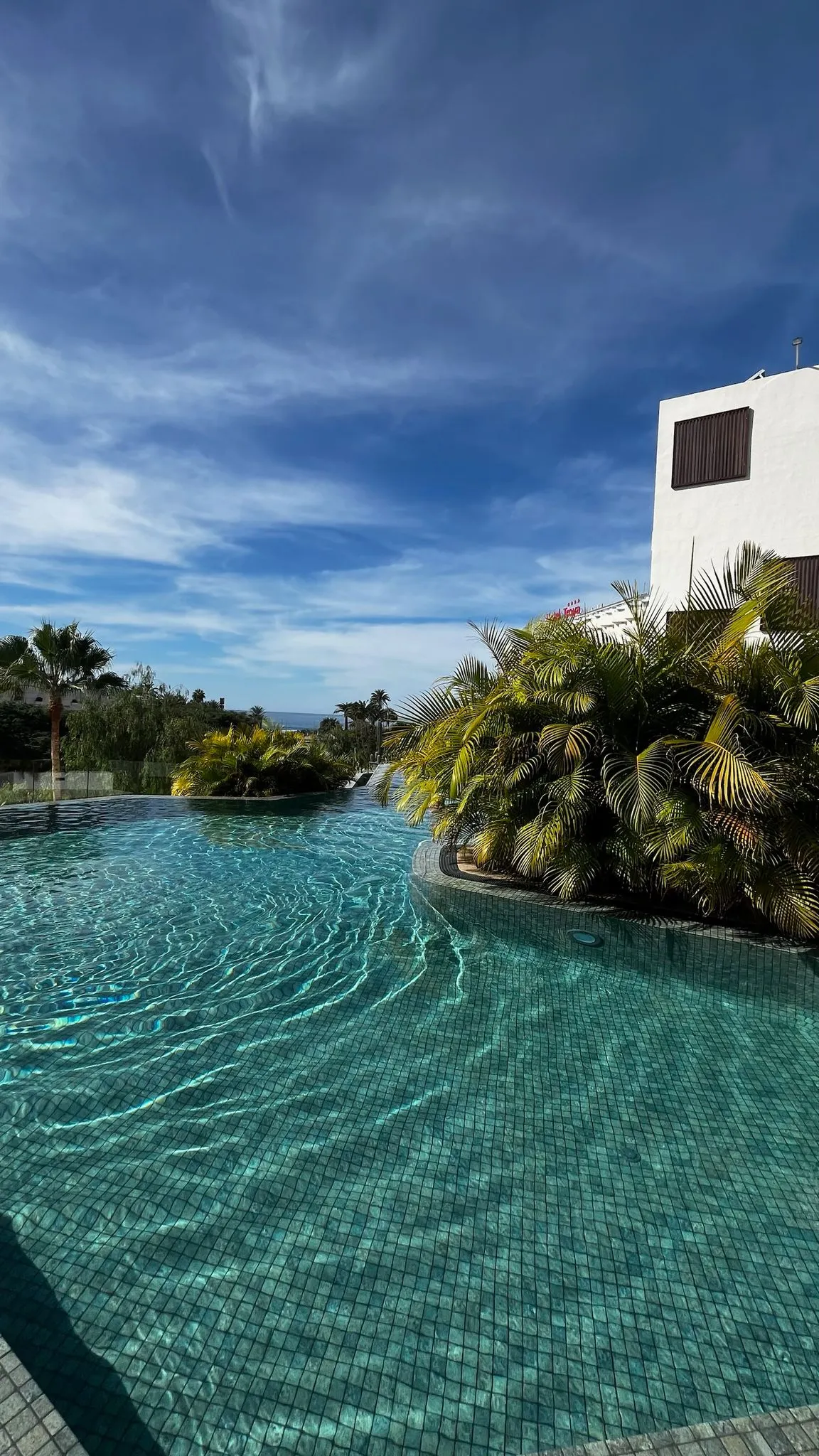 WhatsApp Image 2026-02-01 at 23.05.32 (2)