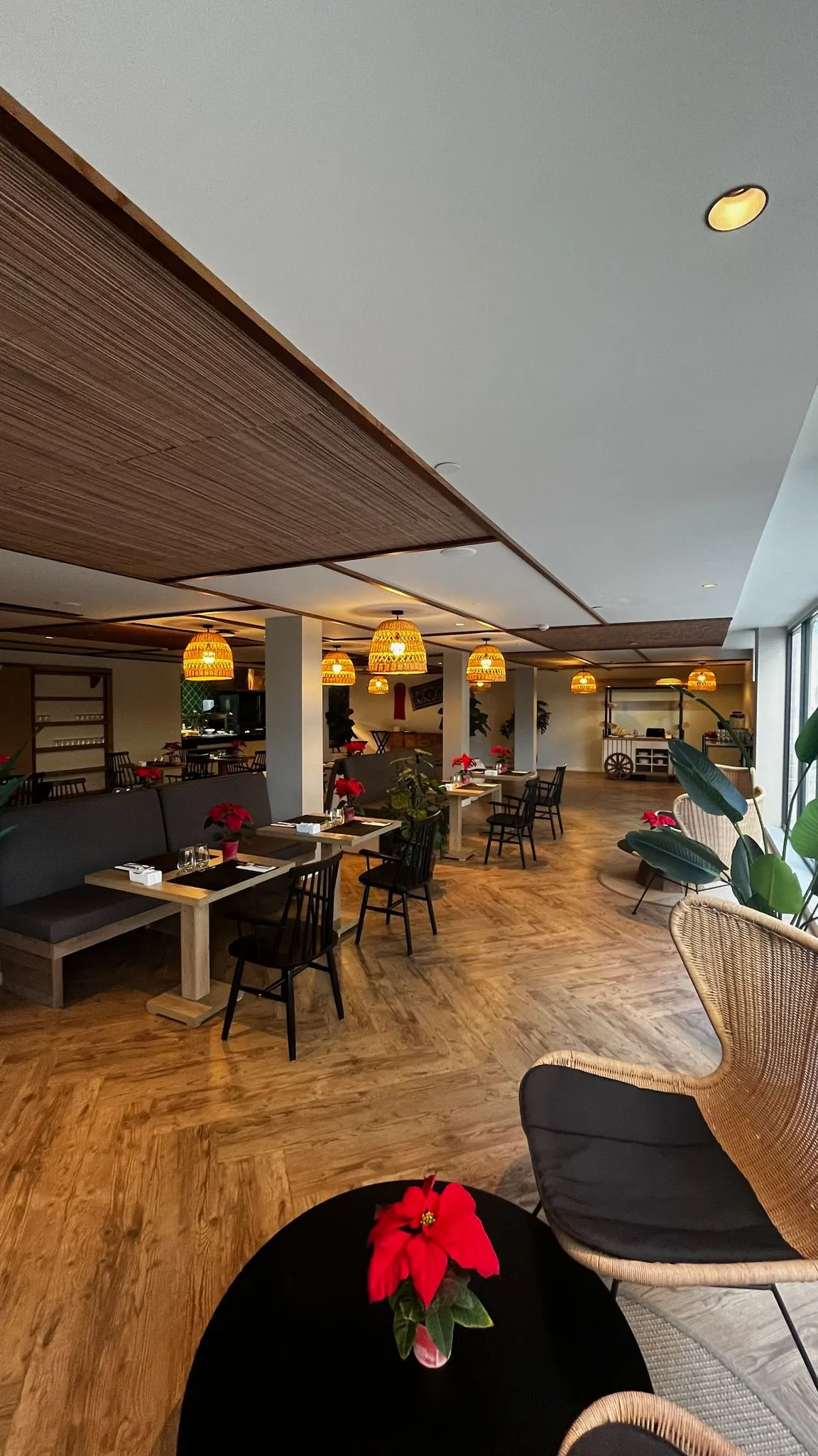 WhatsApp Image 2026-02-02 at 19.13.42 (2)