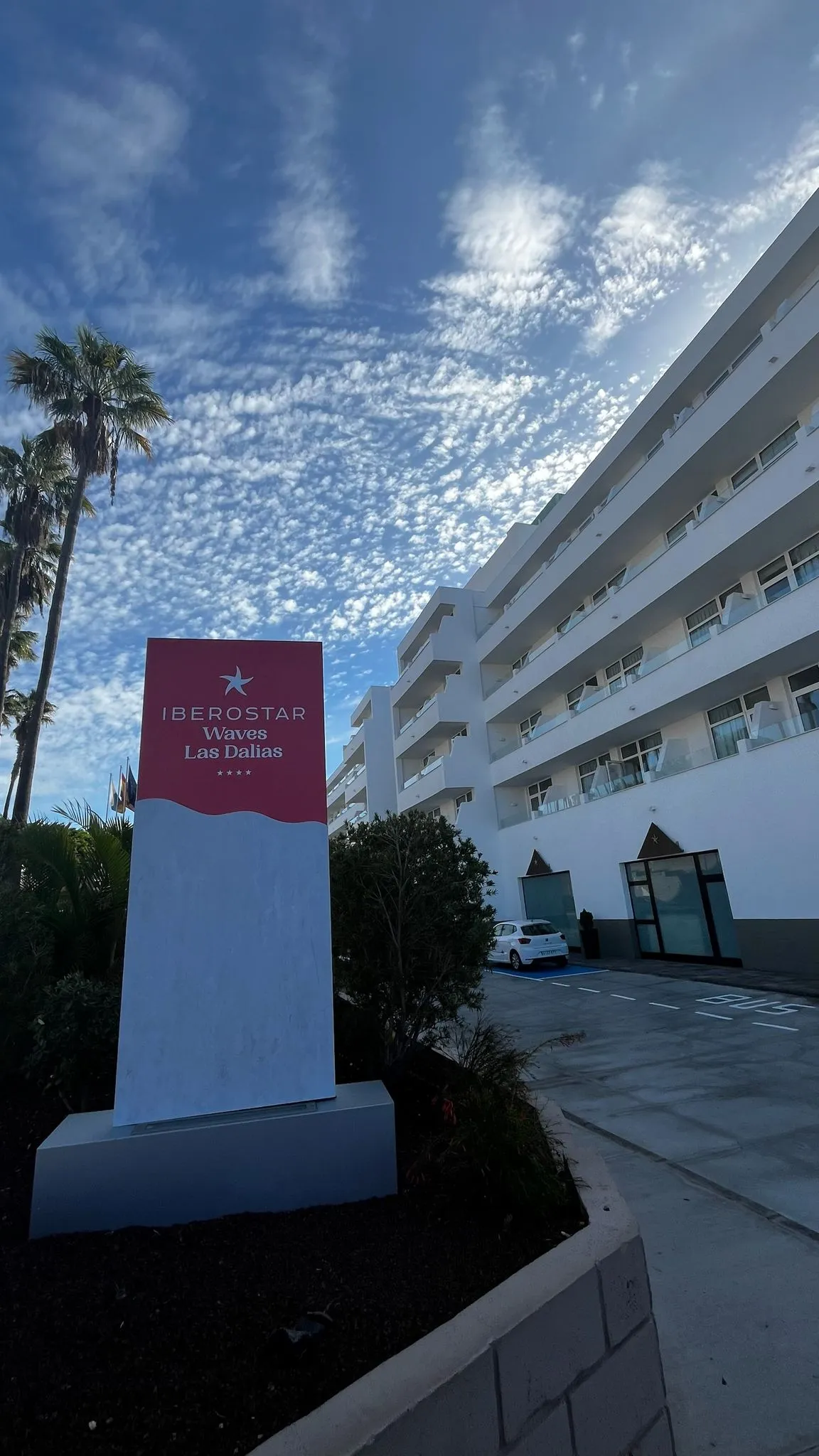 WhatsApp Image 2026-02-02 at 19.22.43