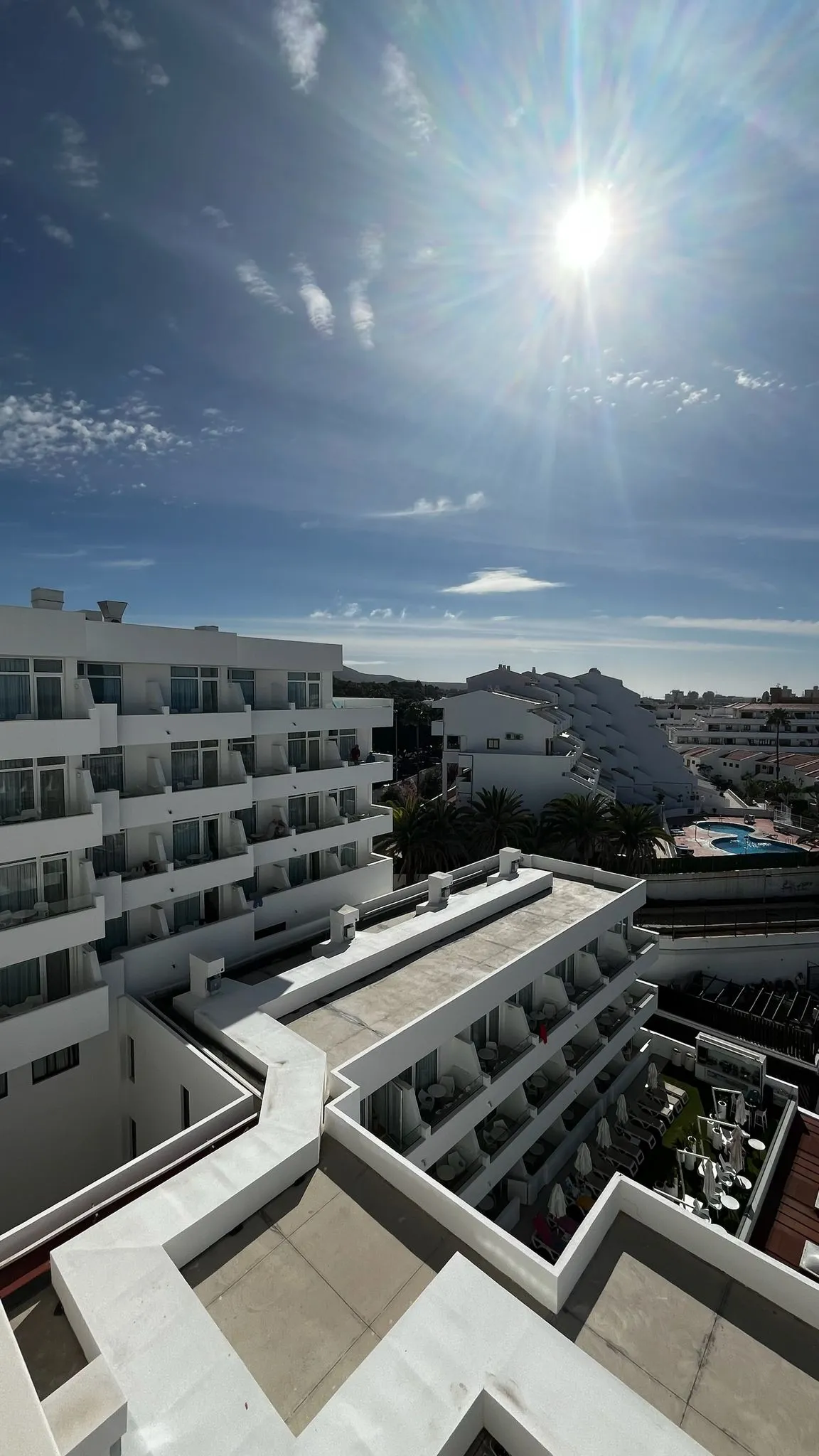 WhatsApp Image 2026-02-02 at 19.22.56