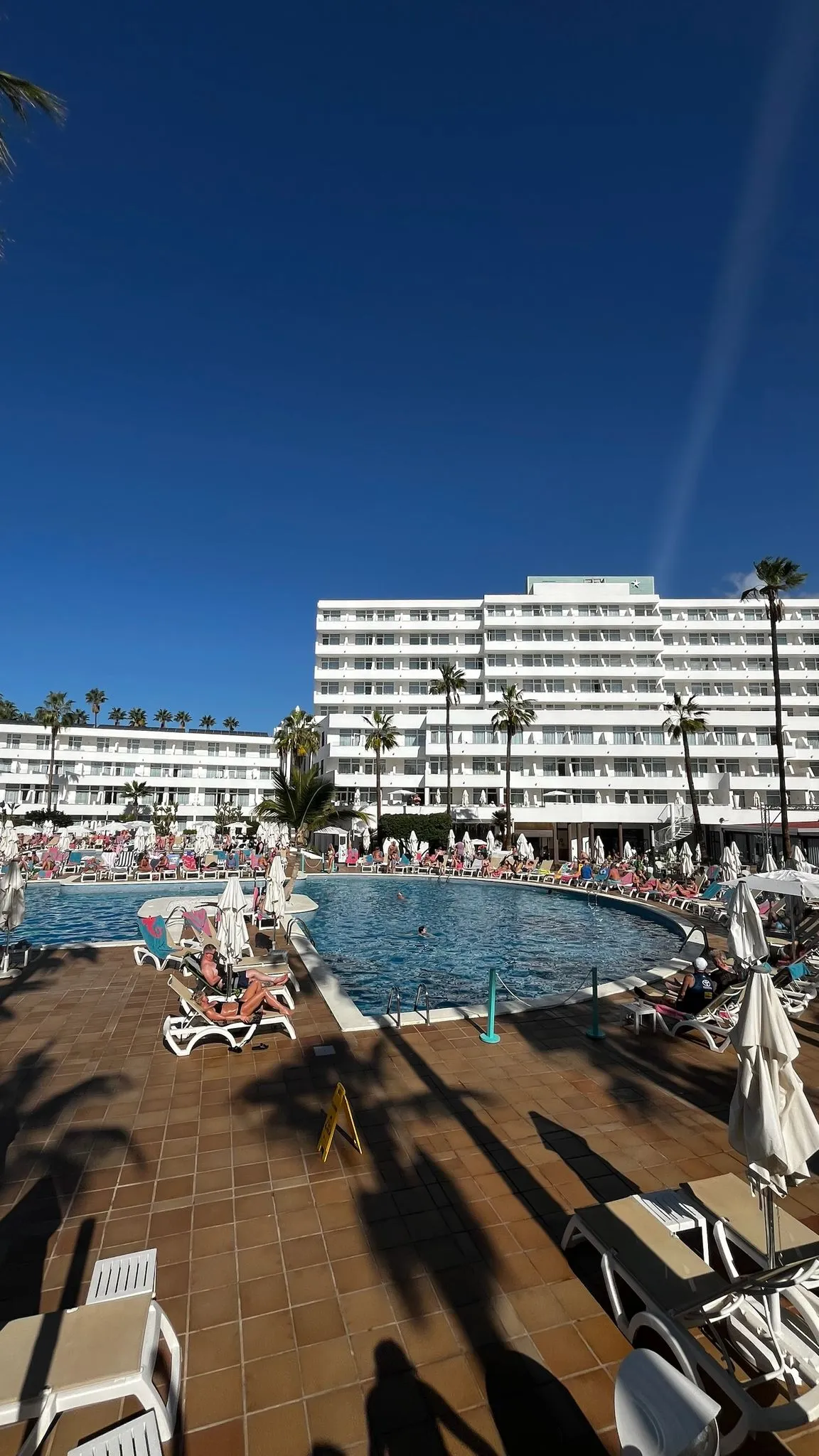 WhatsApp Image 2026-02-02 at 19.23.01