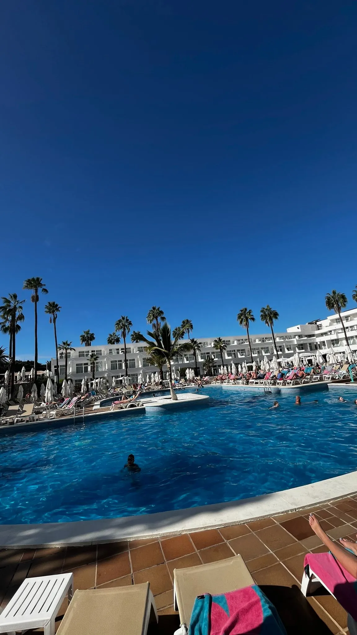 WhatsApp Image 2026-02-02 at 19.23.02