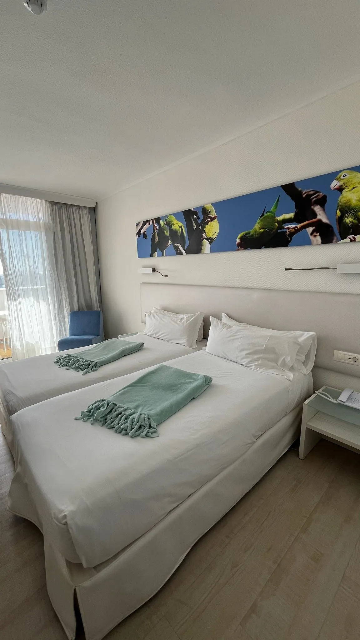 WhatsApp Image 2026-02-02 at 21.02.01