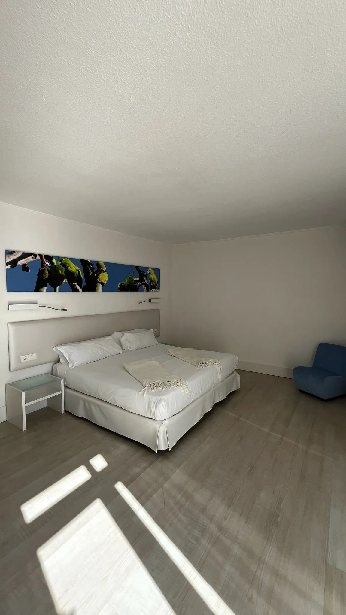 WhatsApp Image 2026-02-02 at 21.02.04