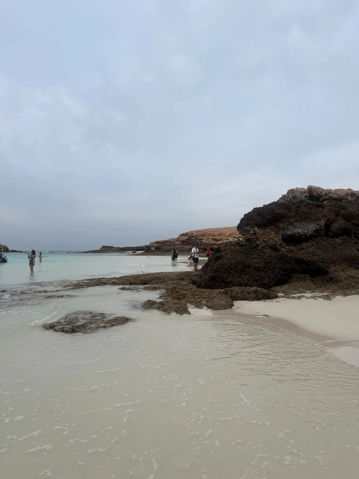 WhatsApp Image 2026-02-02 at 21.41.49