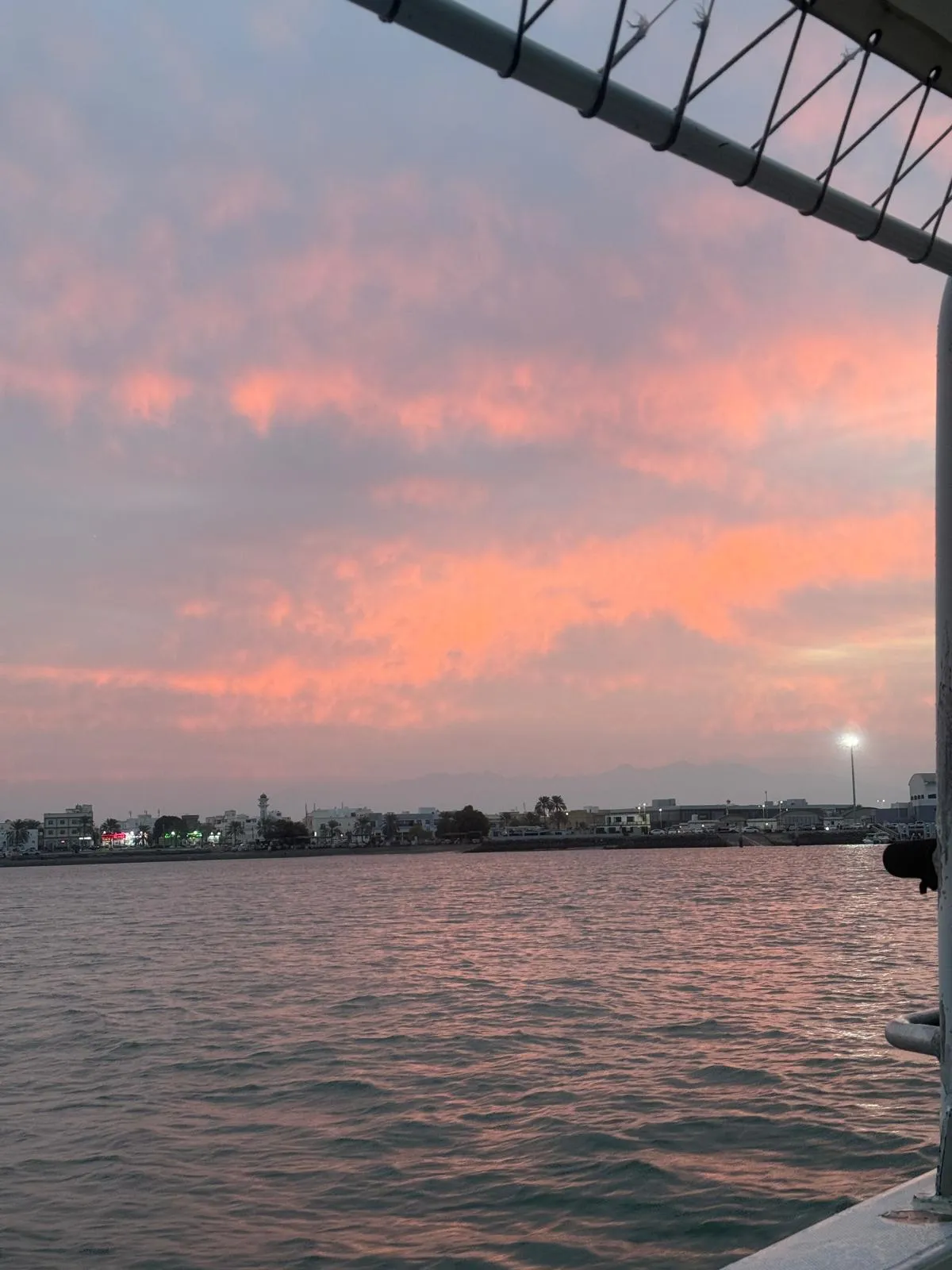 WhatsApp Image 2026-02-02 at 21.41.52 (1)