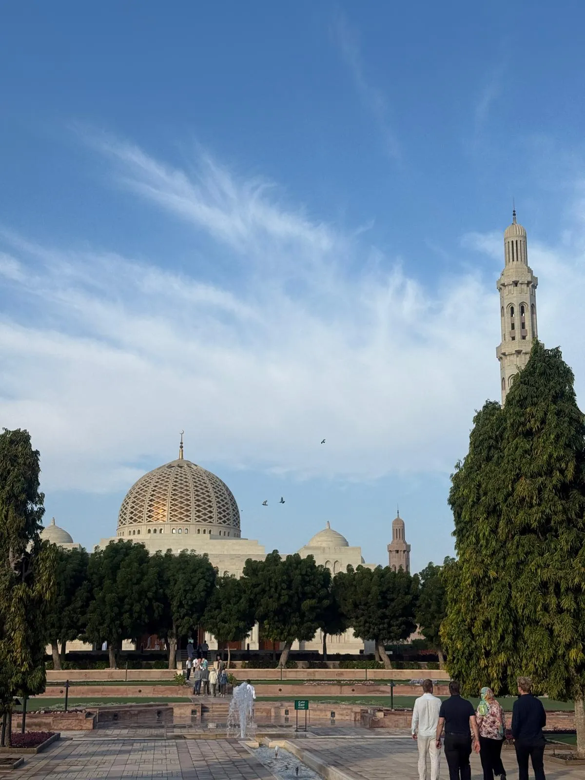 WhatsApp Image 2026-02-02 at 21.41.52 (2)