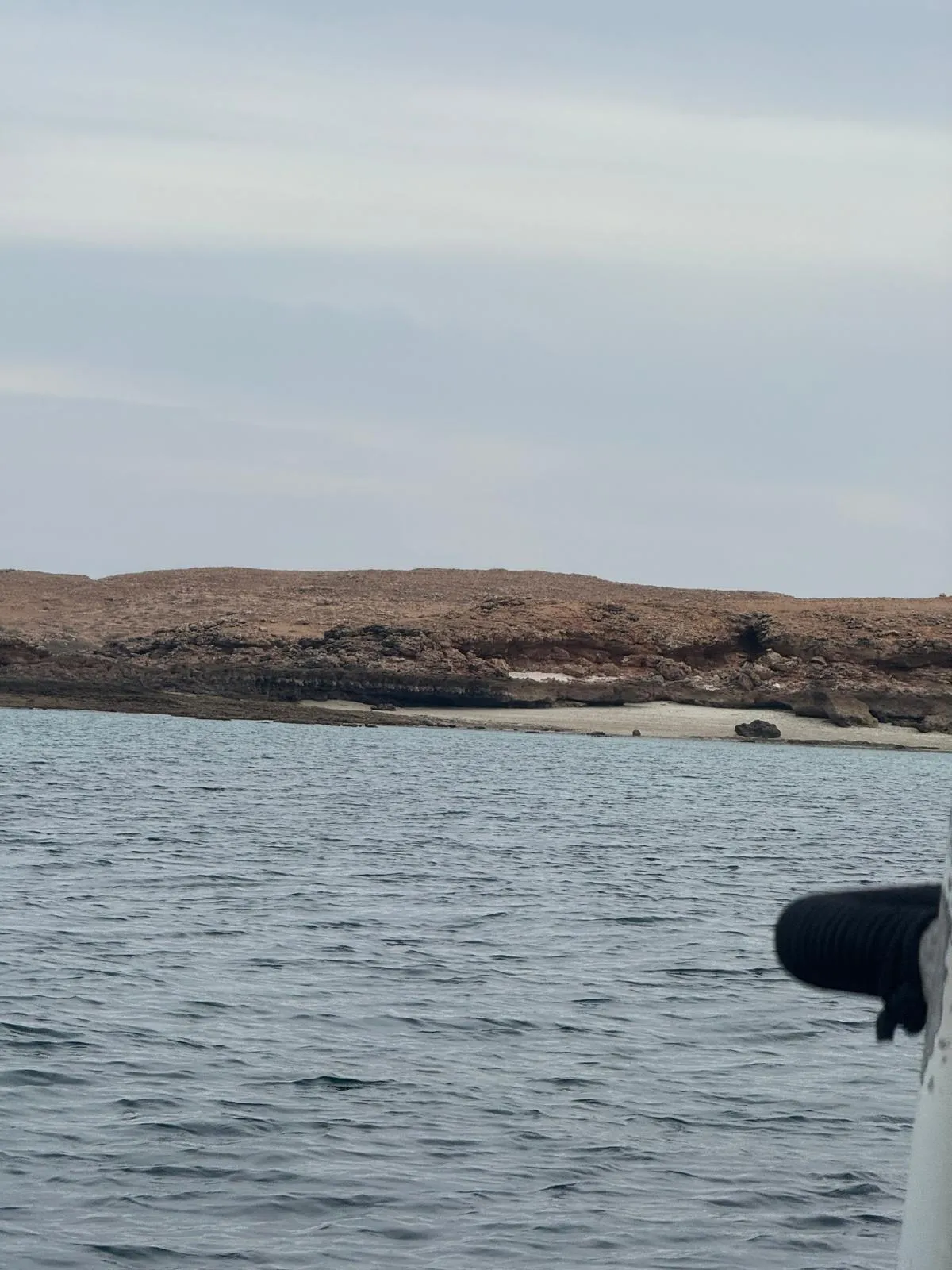 WhatsApp Image 2026-02-02 at 21.41.52