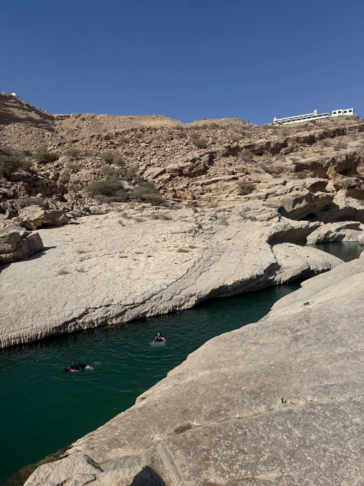 WhatsApp Image 2026-02-02 at 21.41.57 (2)