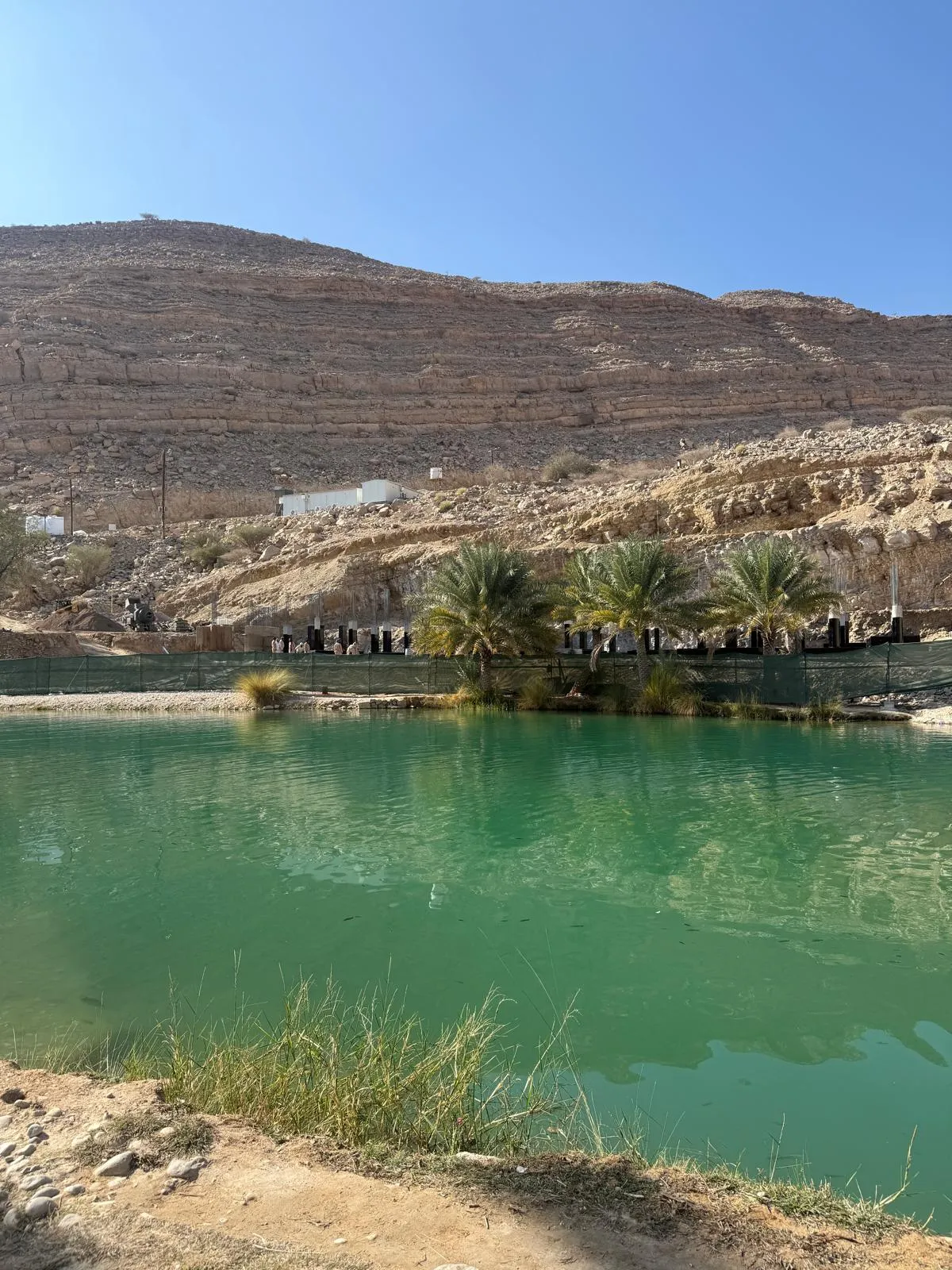 WhatsApp Image 2026-02-02 at 21.41.58