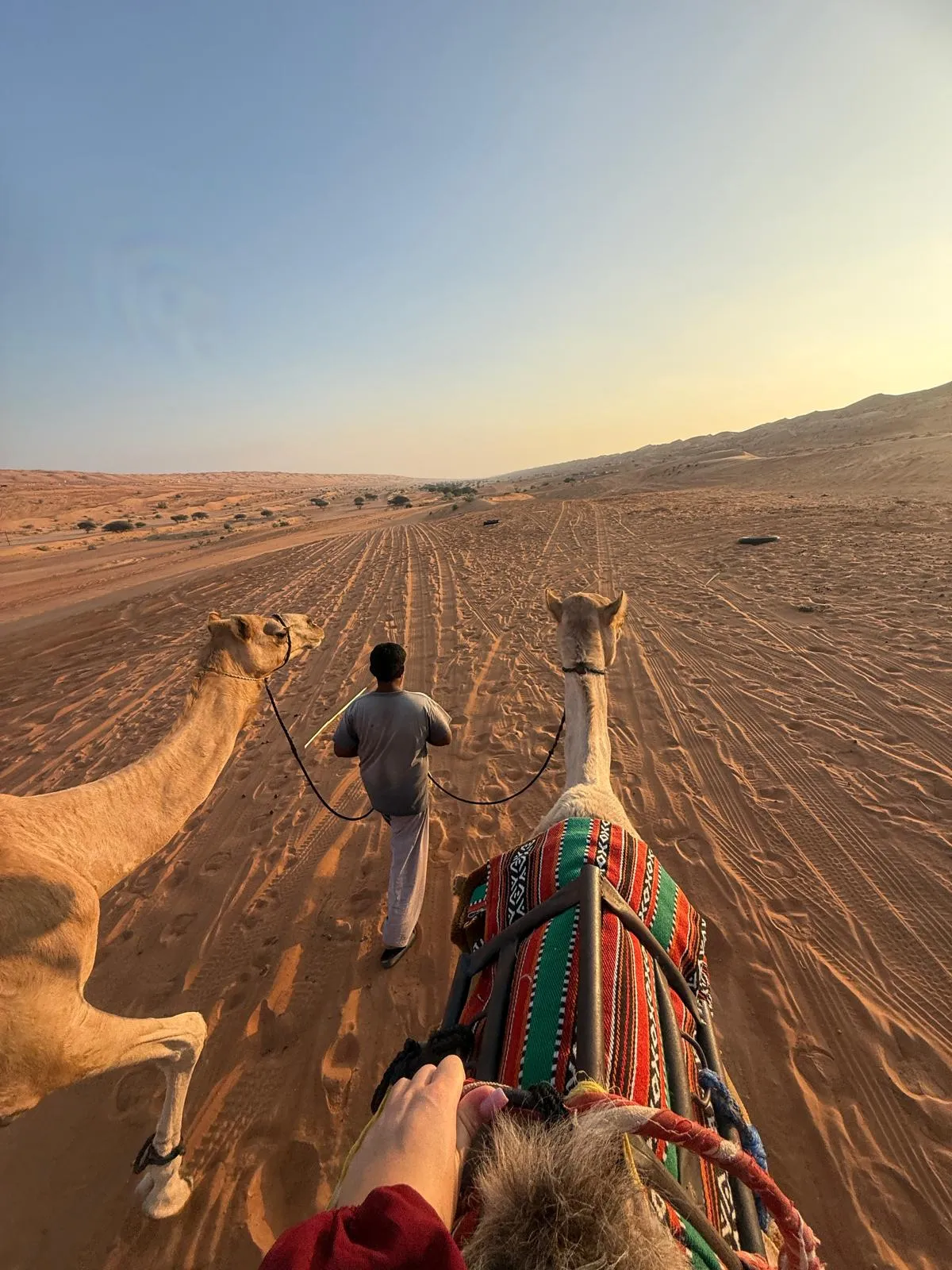 WhatsApp Image 2026-02-02 at 21.41.59