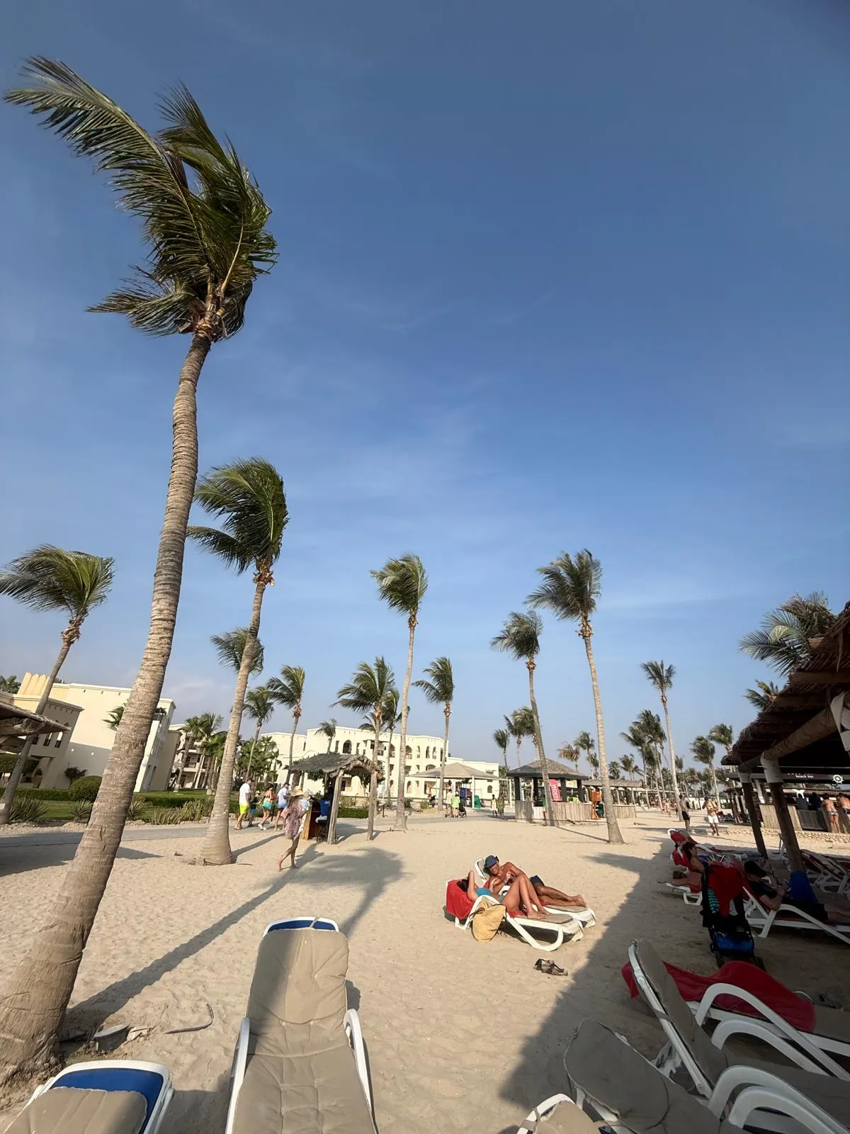 WhatsApp Image 2026-02-02 at 21.42.04 (2)