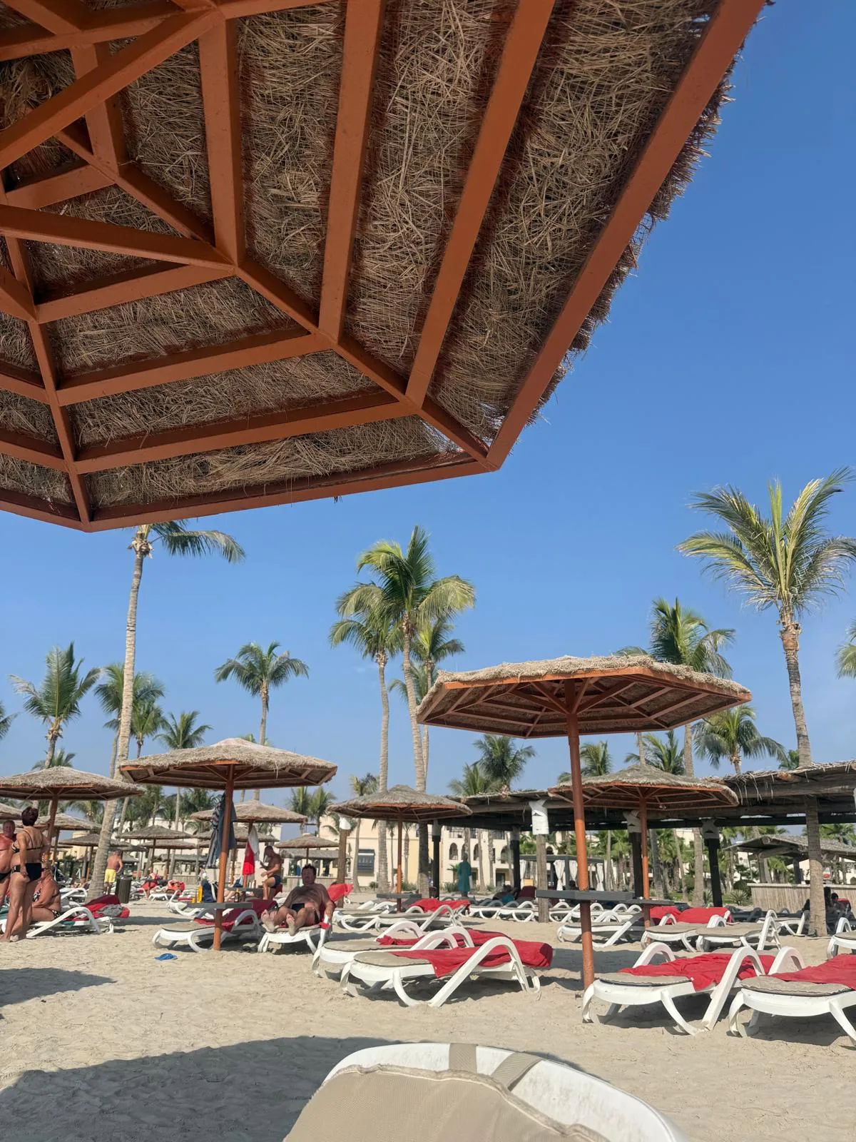 WhatsApp Image 2026-02-02 at 21.42.05 (1)