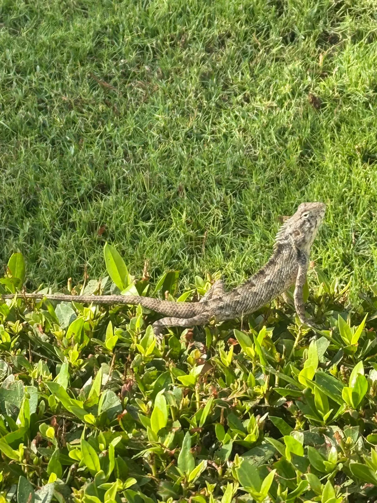 WhatsApp Image 2026-02-02 at 21.42.05 (3)