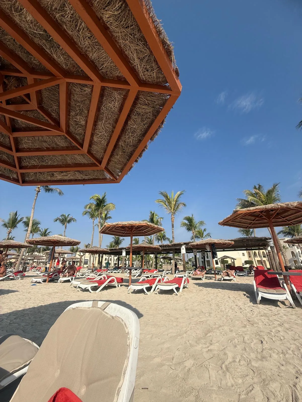 WhatsApp Image 2026-02-03 at 20.19.49 (9)