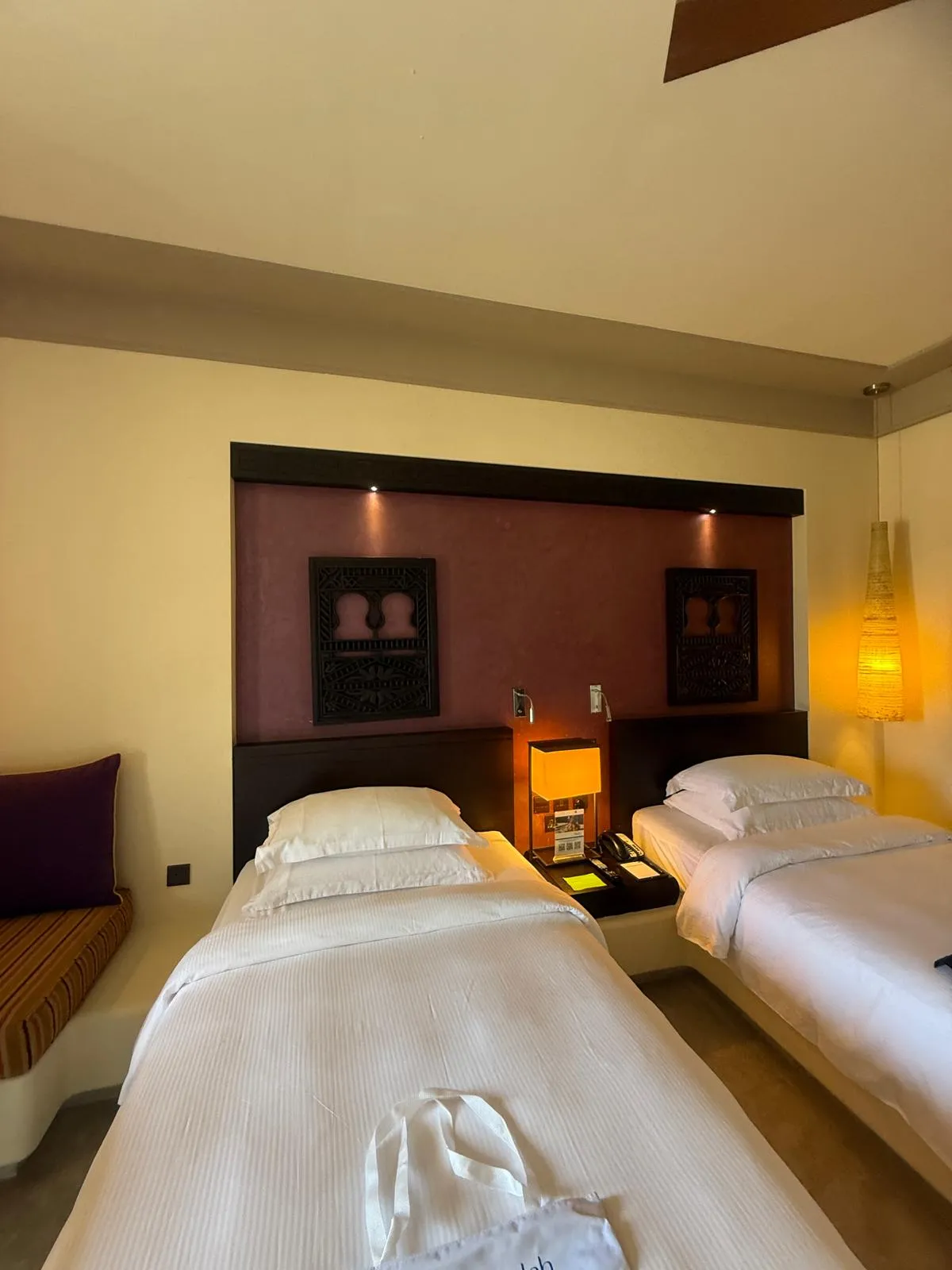 WhatsApp Image 2026-02-03 at 20.19.49