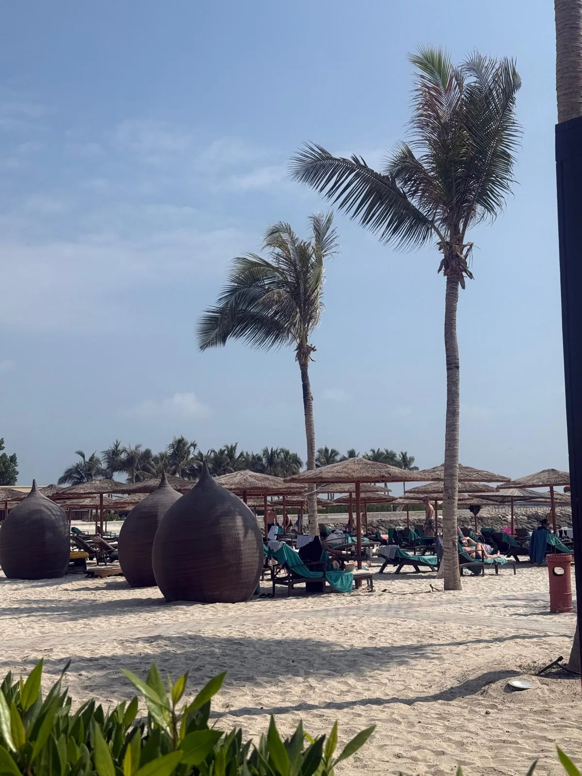 WhatsApp Image 2026-02-03 at 20.22.45 (12)