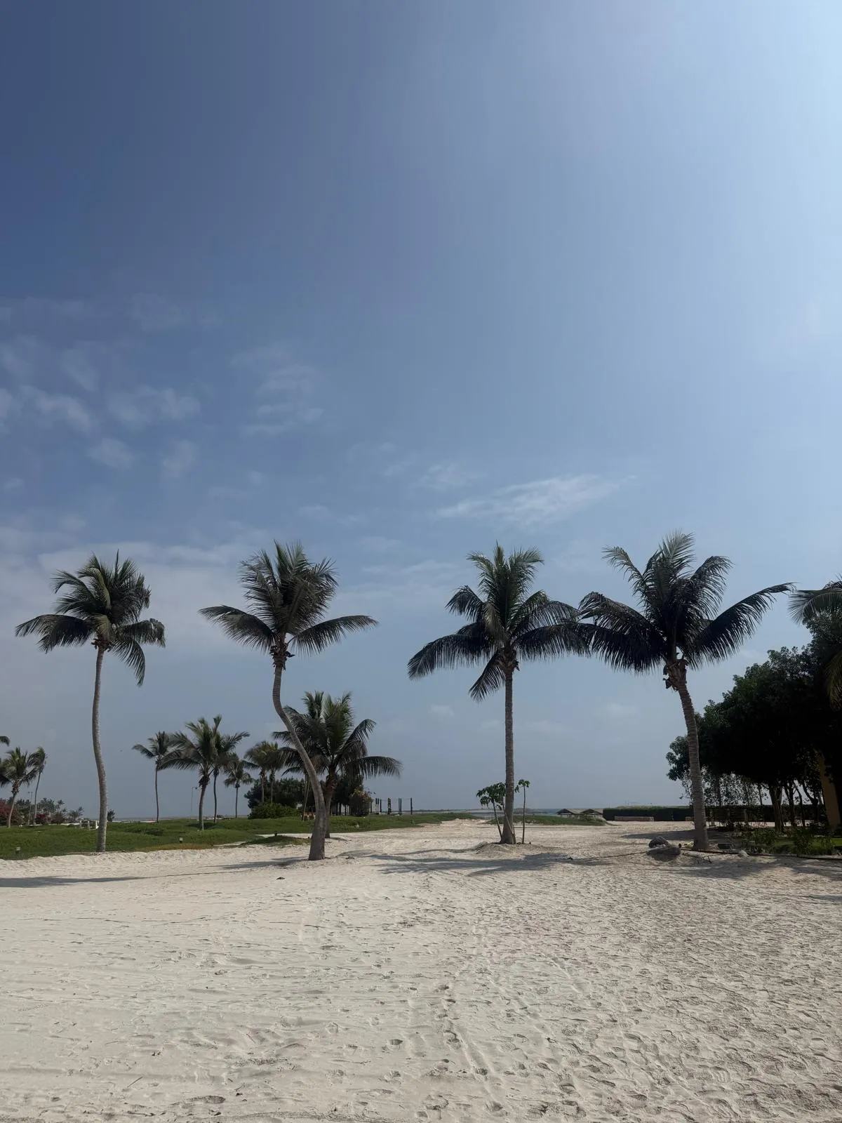 WhatsApp Image 2026-02-03 at 20.22.45 (3)