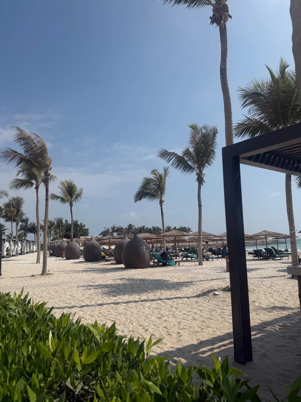 WhatsApp Image 2026-02-03 at 20.22.45