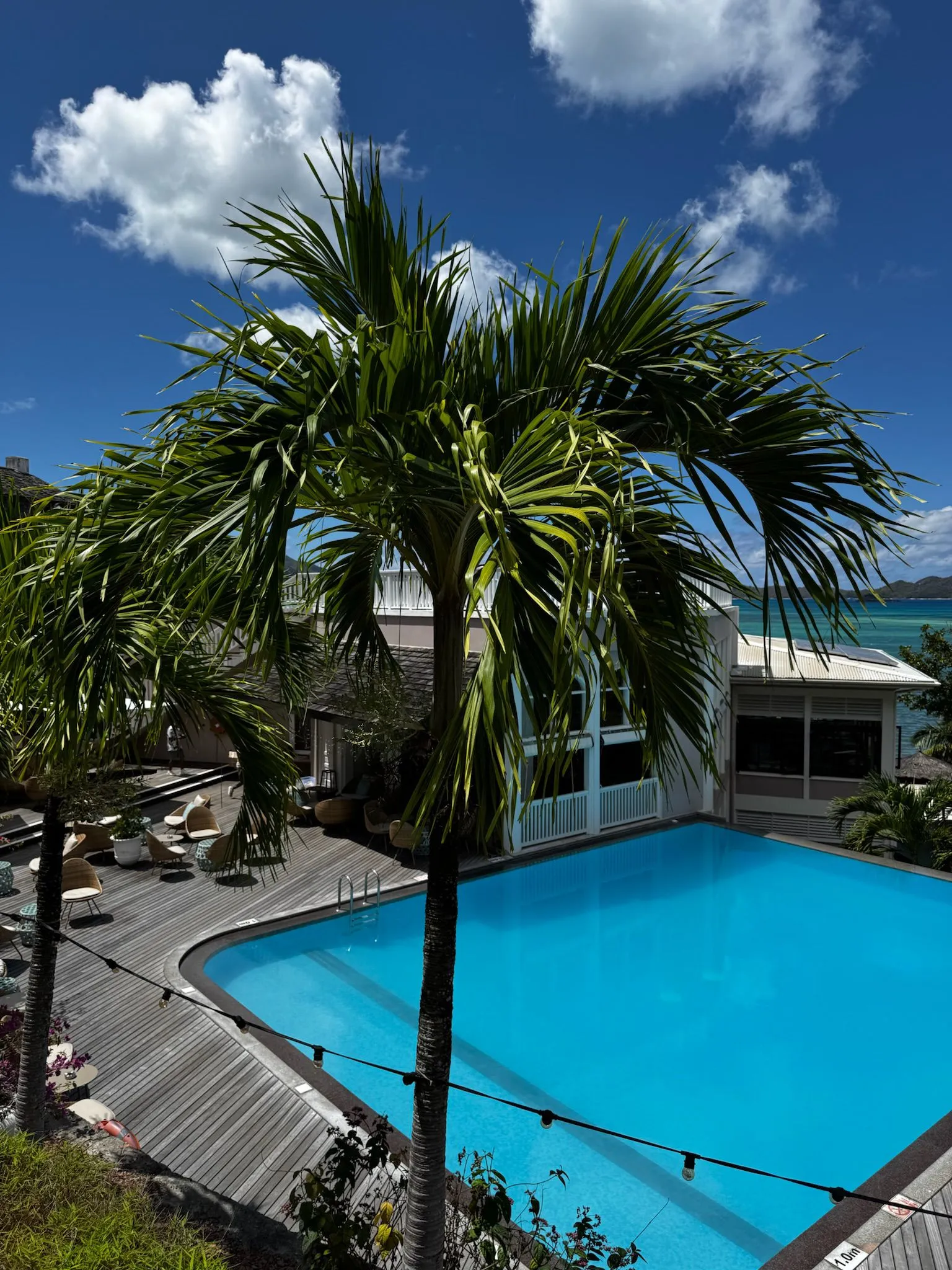 WhatsApp Image 2026-02-28 at 15.57.58 (5)