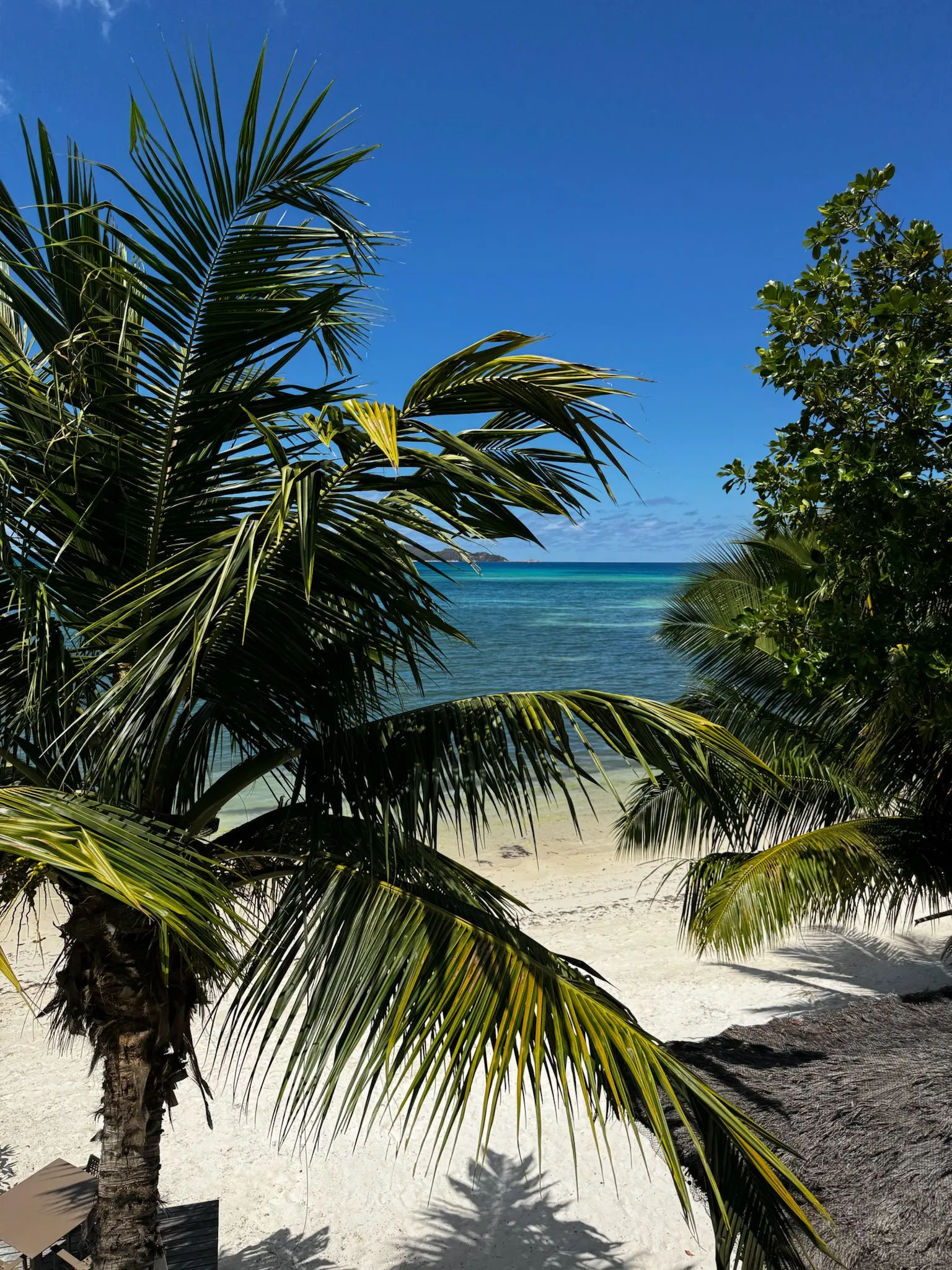 WhatsApp Image 2026-02-28 at 15.57.59 (1)