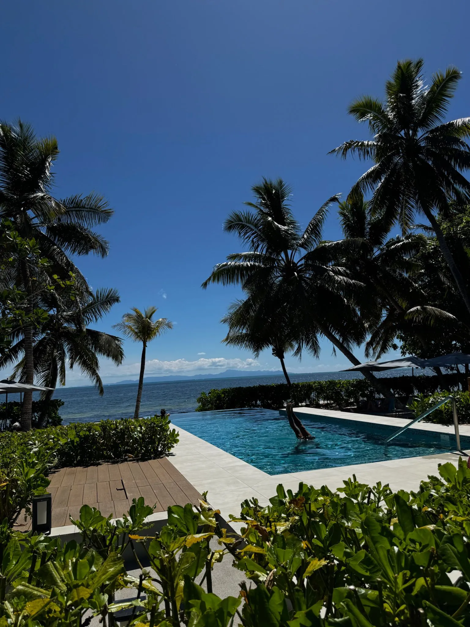 WhatsApp Image 2026-02-28 at 16.09.36 (3)