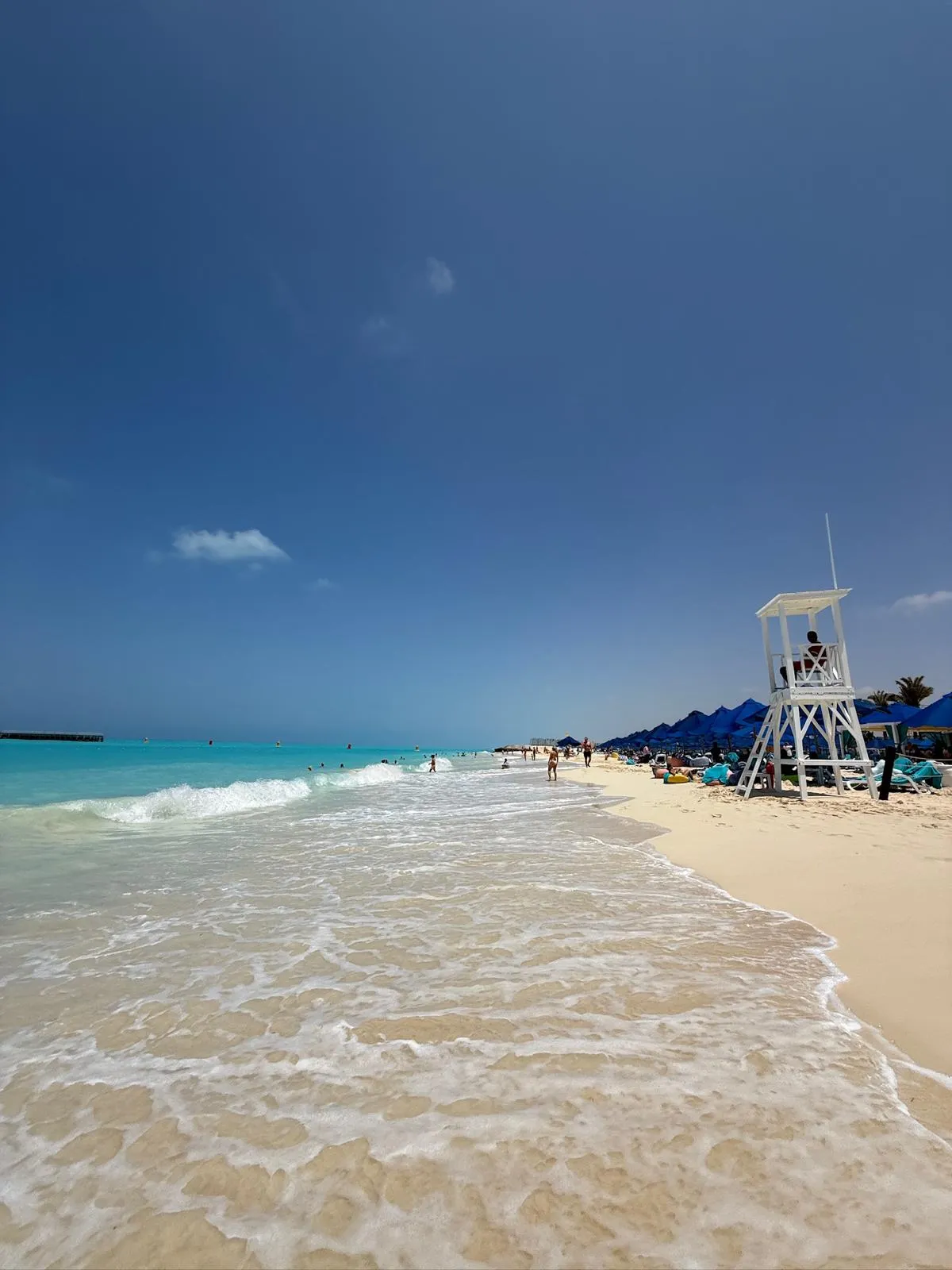 WhatsApp Image 2026-02-28 at 17.13.17