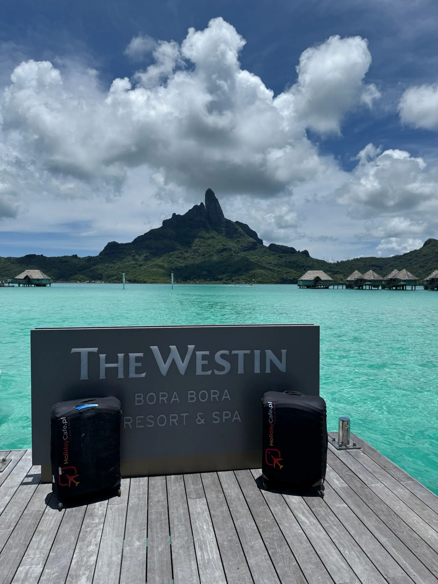 Zdjęcie WhatsApp 2025-12-01 o 16.40.05_b3717a1f