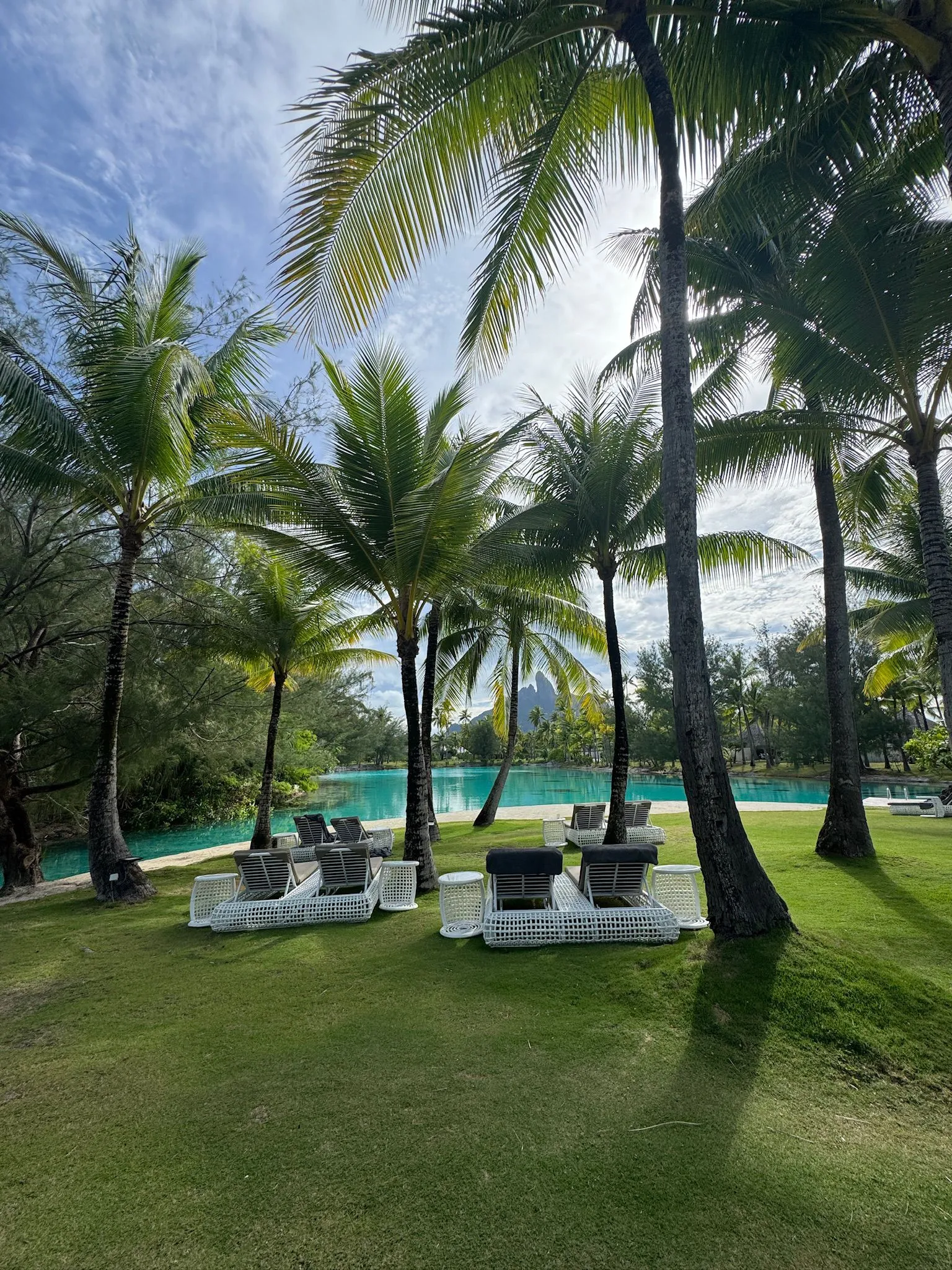 Zdjęcie WhatsApp 2025-12-01 o 16.40.16_acedeaba