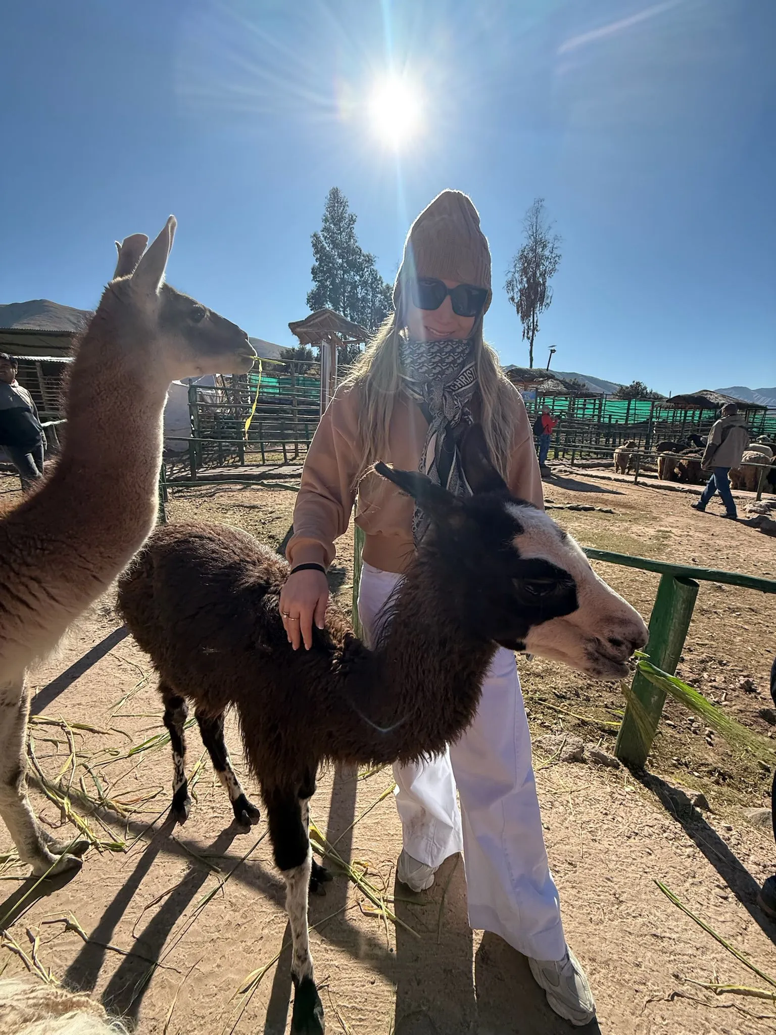 Zdjęcie WhatsApp 2025-12-02 o 09.36.38_1da99148