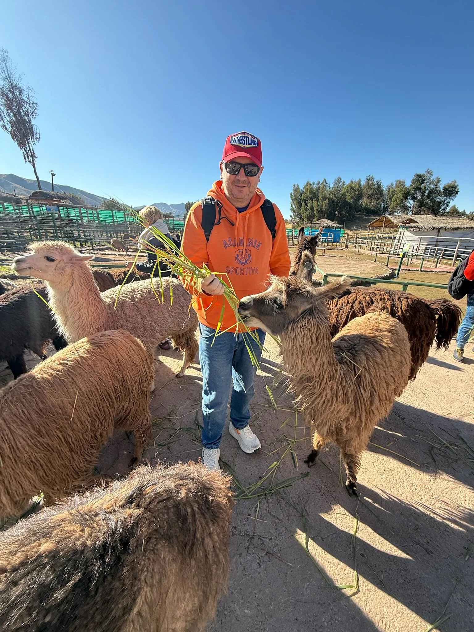 Zdjęcie WhatsApp 2025-12-02 o 09.36.38_22763c57