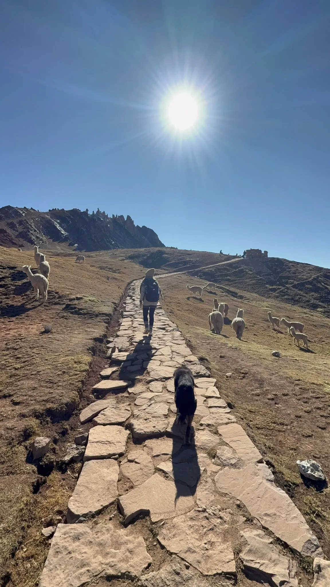 Zdjęcie WhatsApp 2025-12-02 o 09.36.42_cdf11190