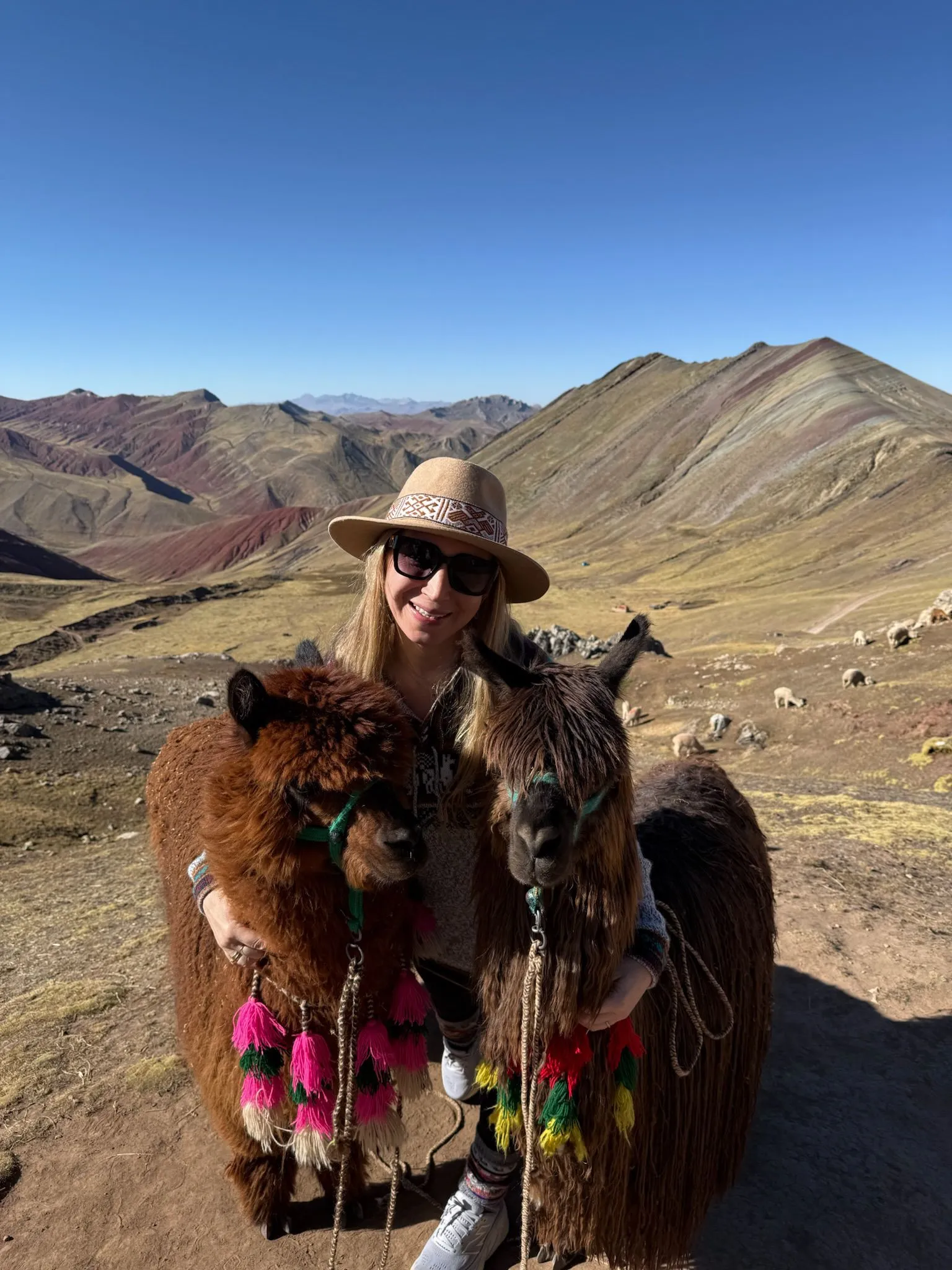 Zdjęcie WhatsApp 2025-12-02 o 09.36.42_ee343c6d