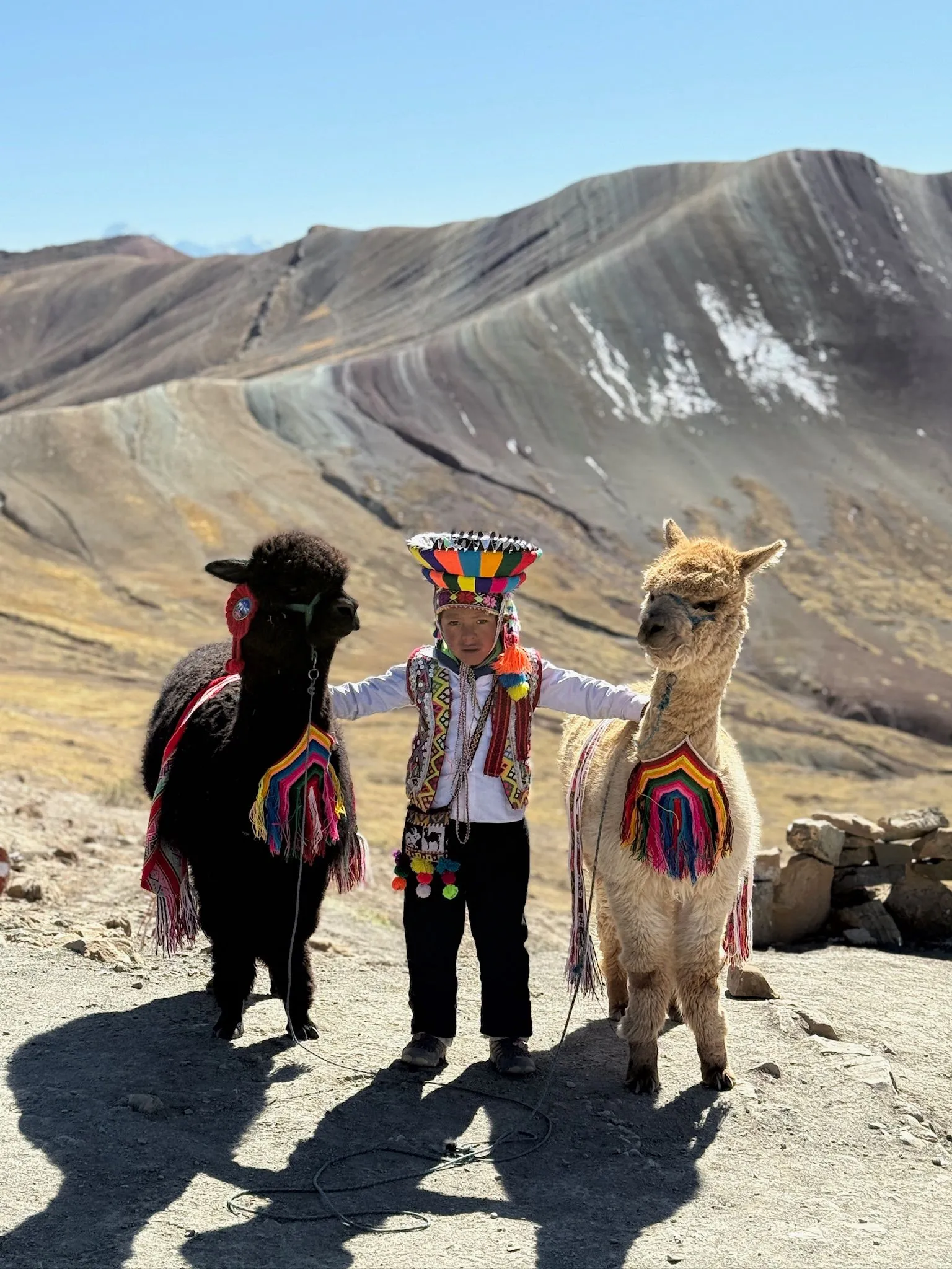 Zdjęcie WhatsApp 2025-12-02 o 09.36.44_d1d2d063