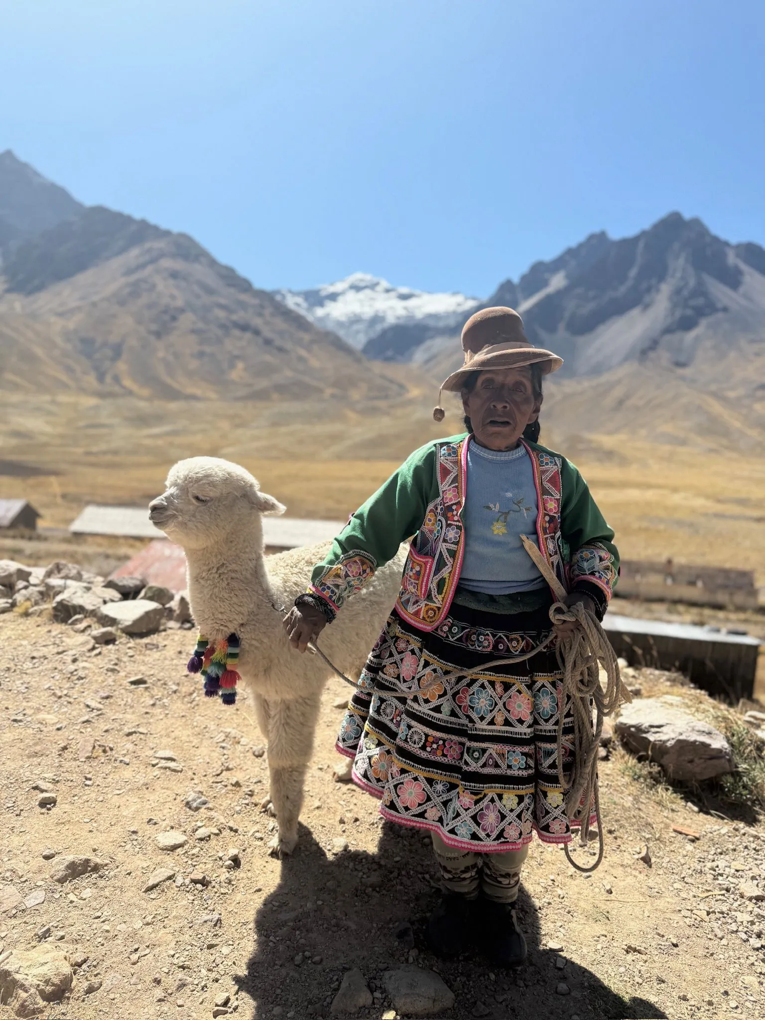 Zdjęcie WhatsApp 2025-12-02 o 09.36.47_75d4ff81