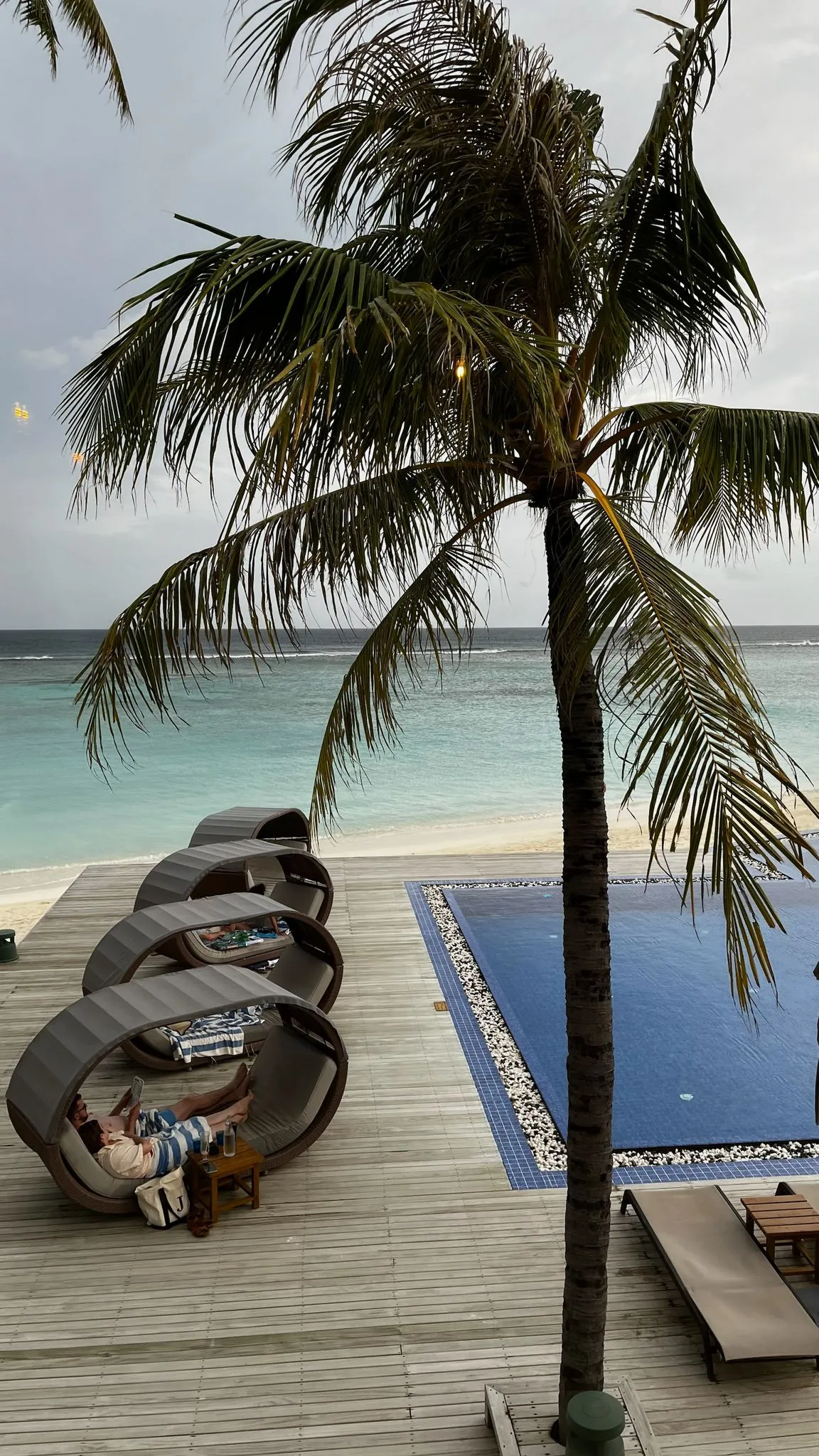 Zdjęcie WhatsApp 2025-12-02 o 09.46.30_c3b28042