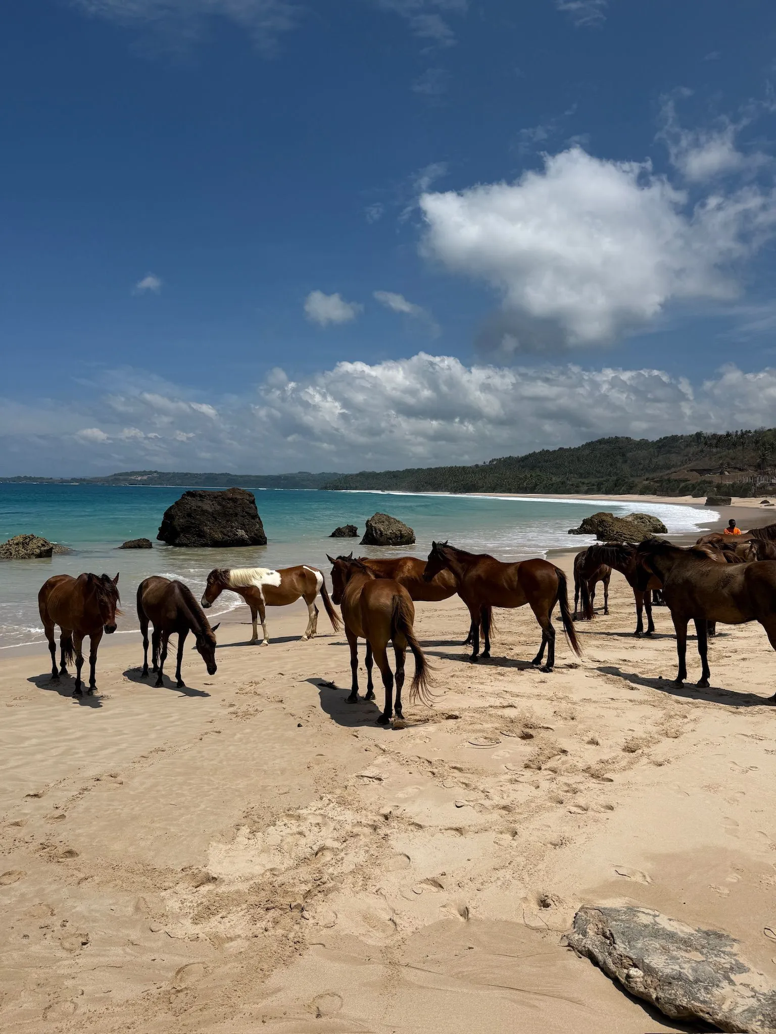 Zdjęcie WhatsApp 2025-12-02 o 14.08.25_23bc41b8