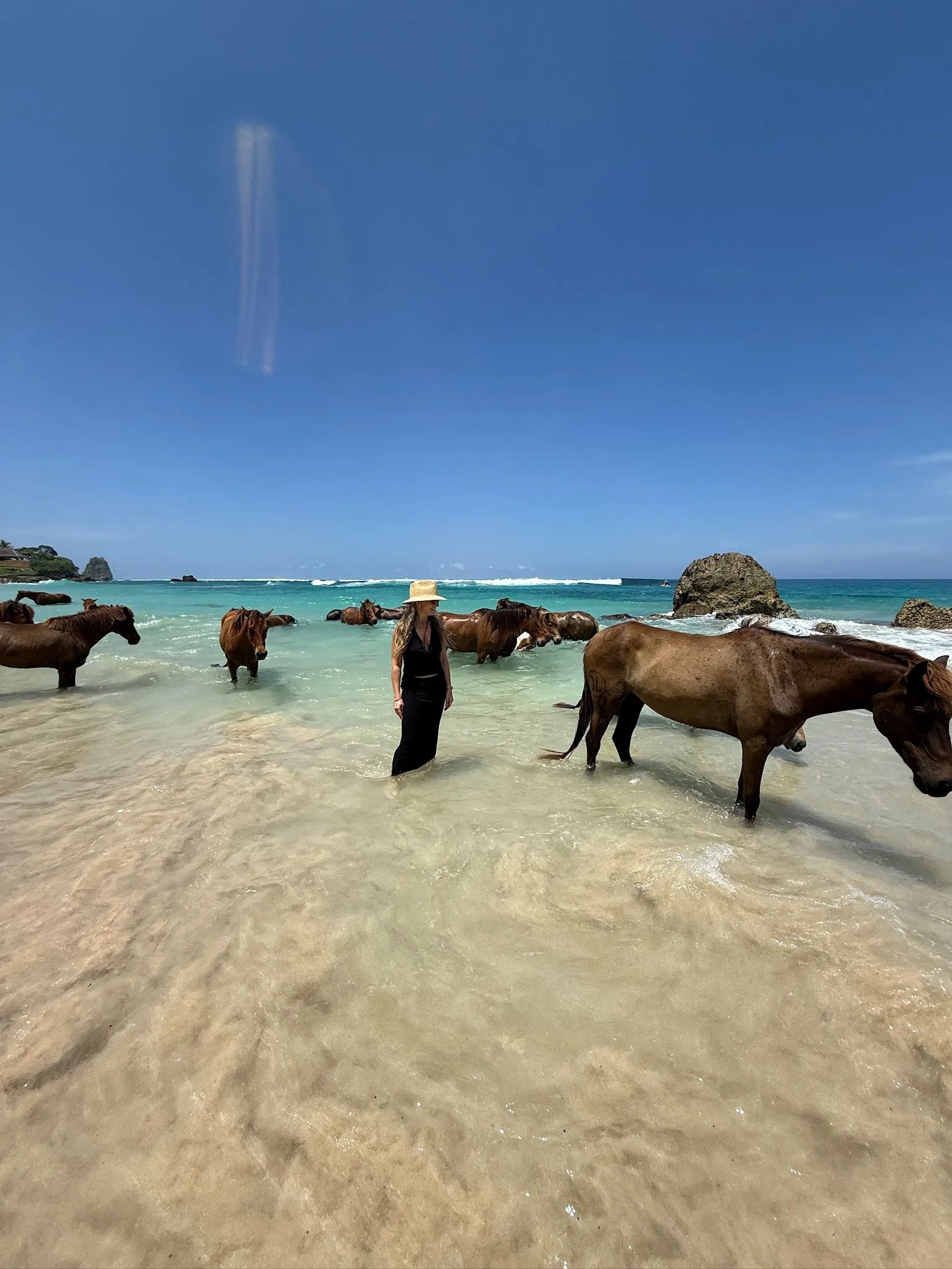 Zdjęcie WhatsApp 2025-12-02 o 14.08.25_7b0cc431