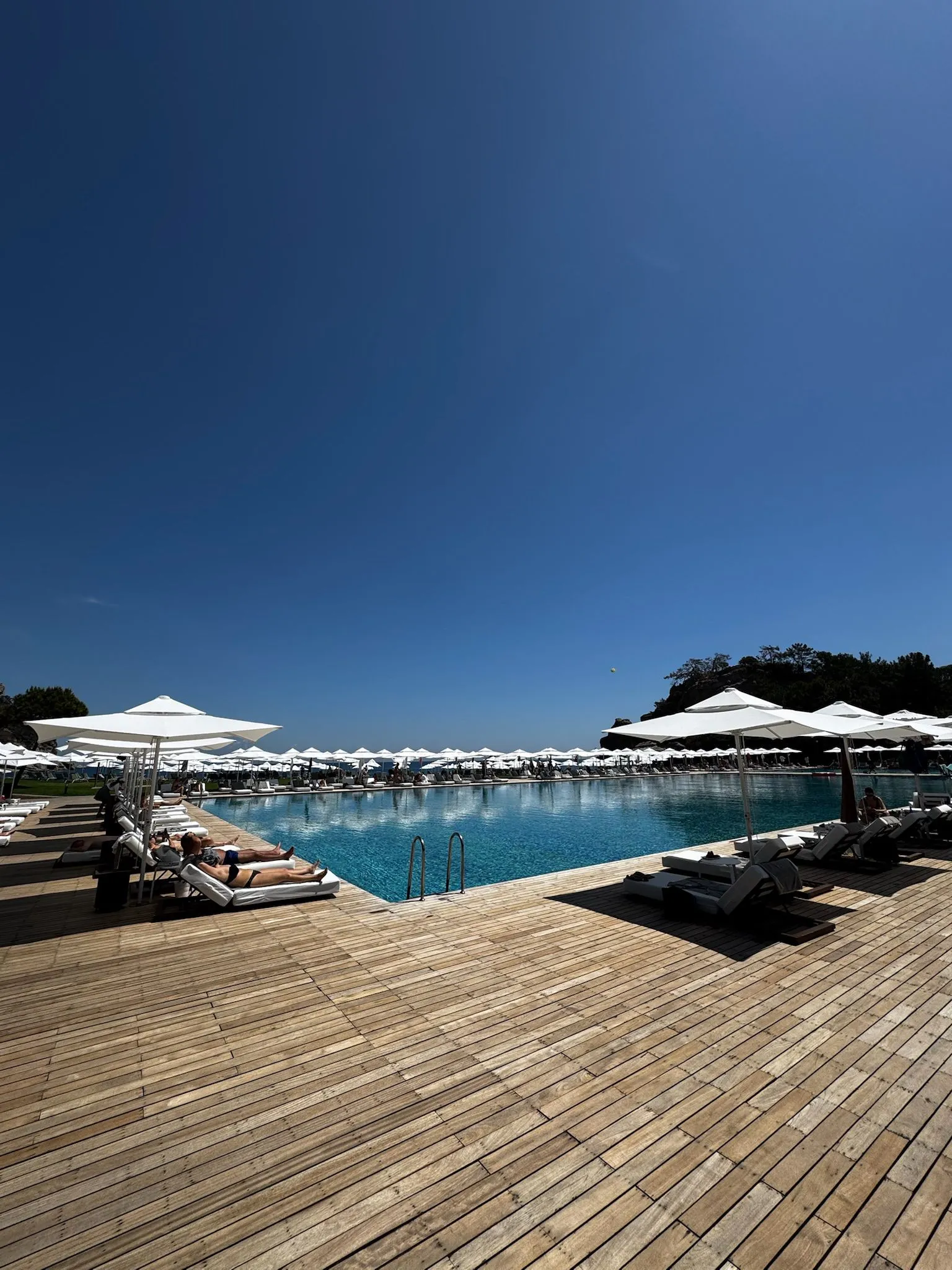 Zdjęcie WhatsApp 2025-12-02 o 15.10.23_0ad75bf1