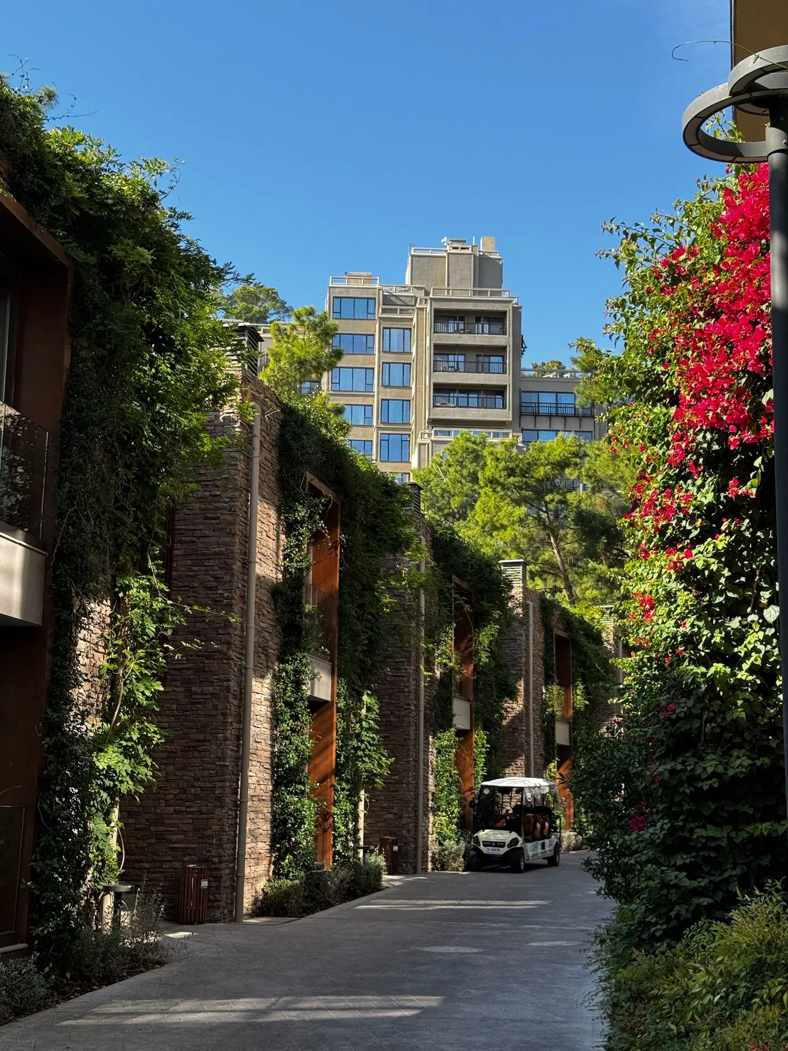 Zdjęcie WhatsApp 2025-12-02 o 15.27.17_6869c7d9