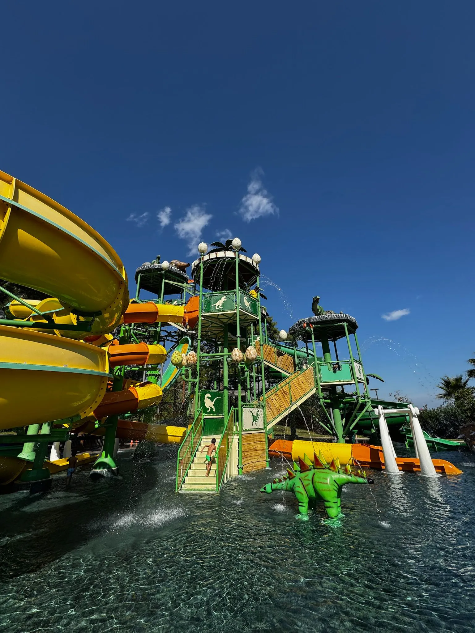 Zdjęcie WhatsApp 2025-12-02 o 15.27.17_82b9c7a0