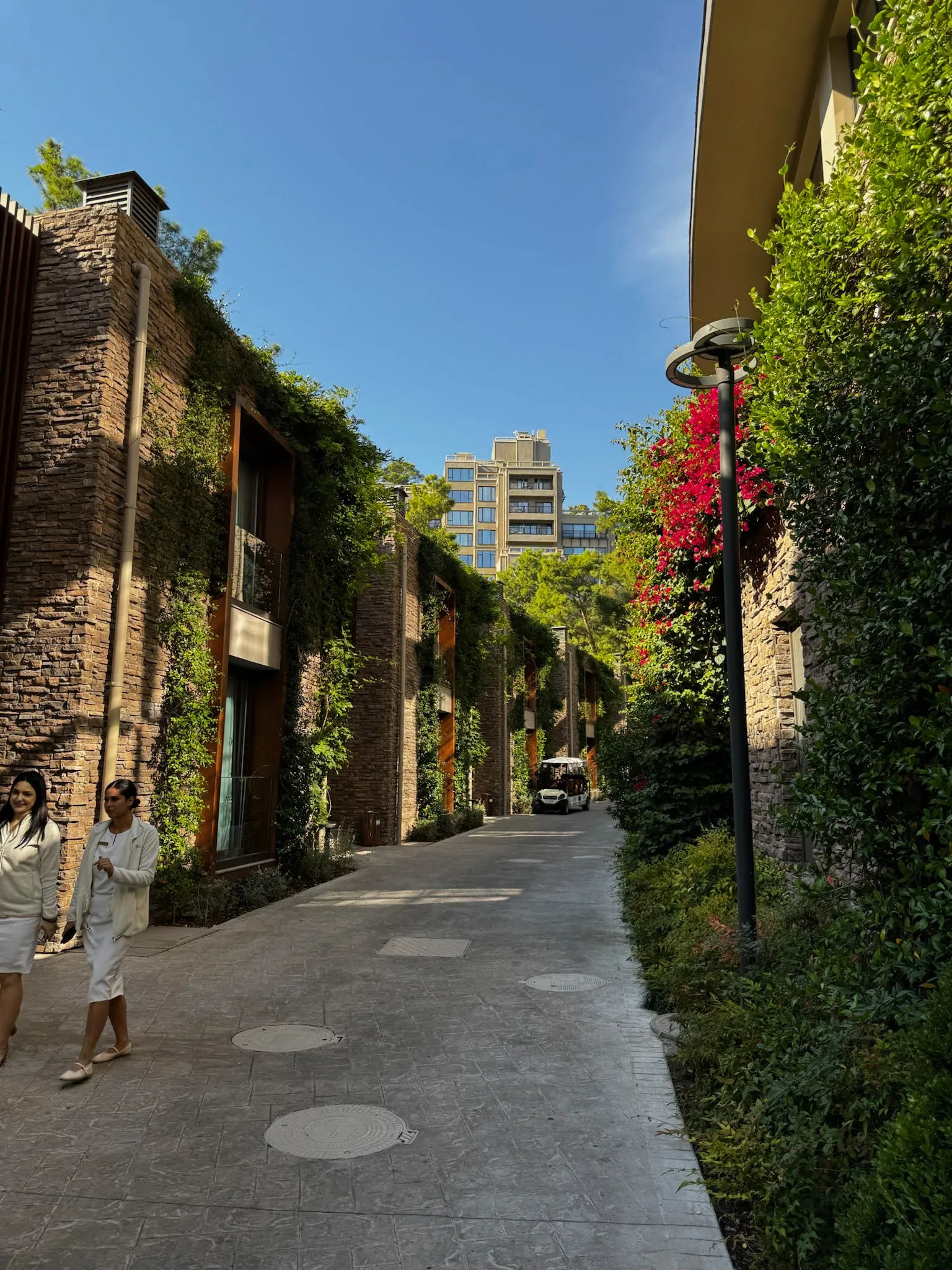 Zdjęcie WhatsApp 2025-12-02 o 15.27.17_fa1b5702