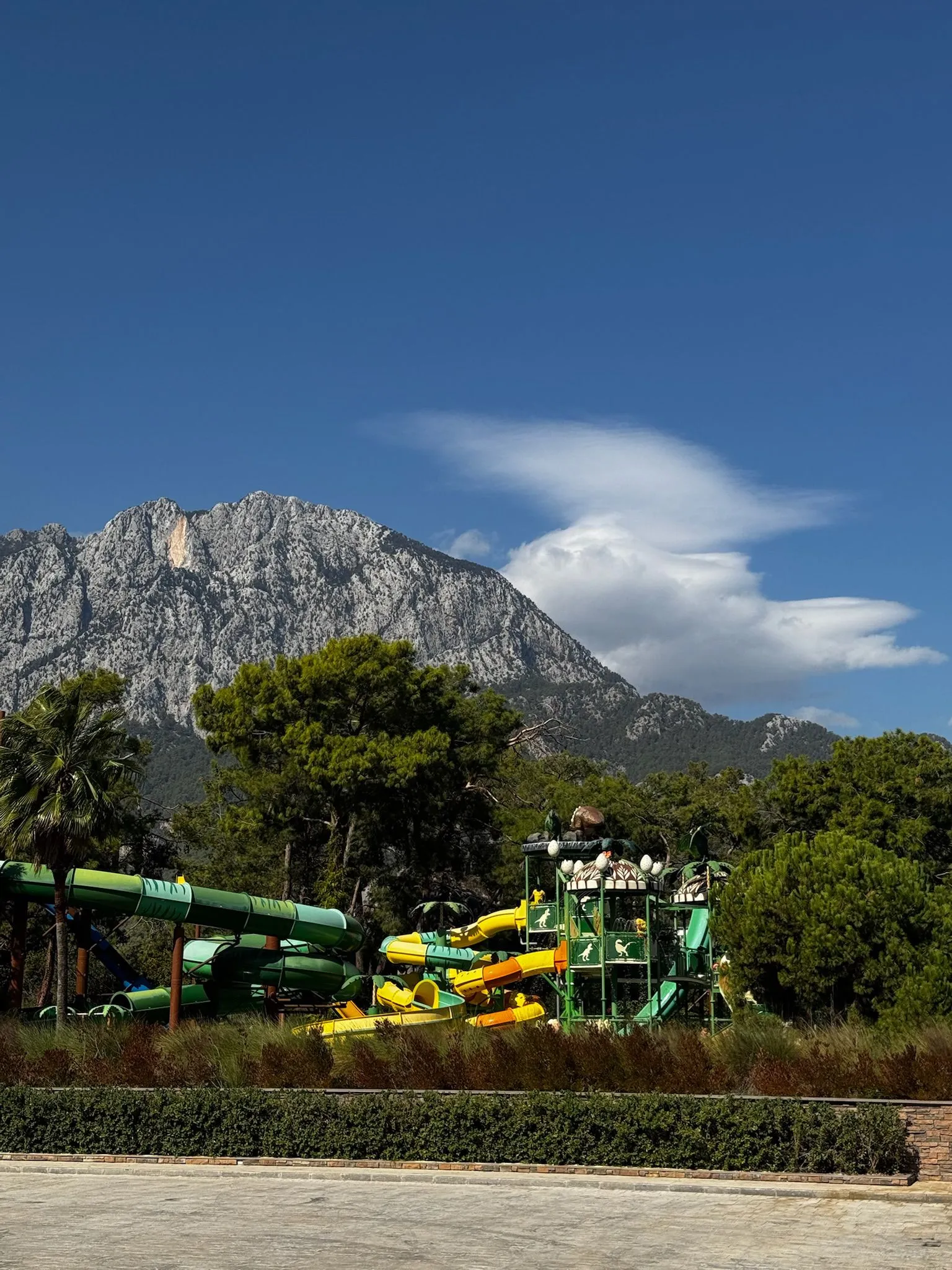 Zdjęcie WhatsApp 2025-12-02 o 15.27.17_fb5b9a2c