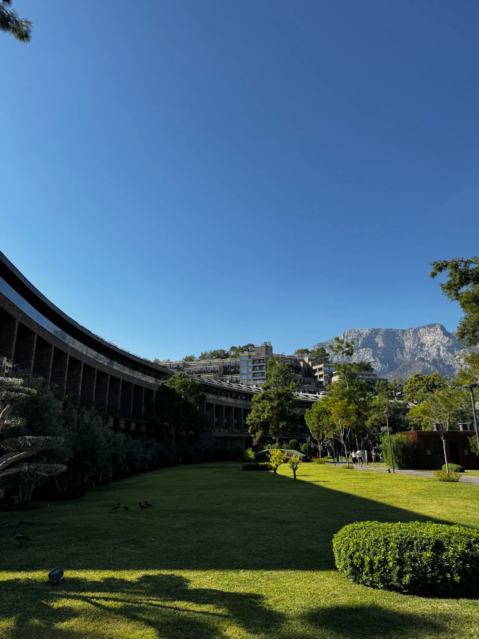 Zdjęcie WhatsApp 2025-12-02 o 15.27.19_0e1c2959