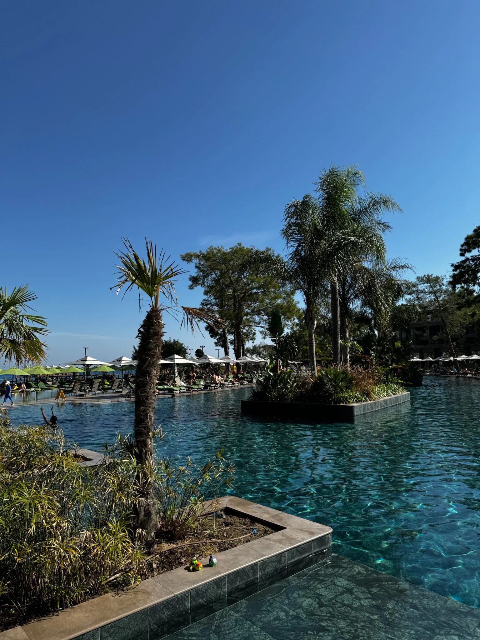 Zdjęcie WhatsApp 2025-12-02 o 15.27.24_c9893b53